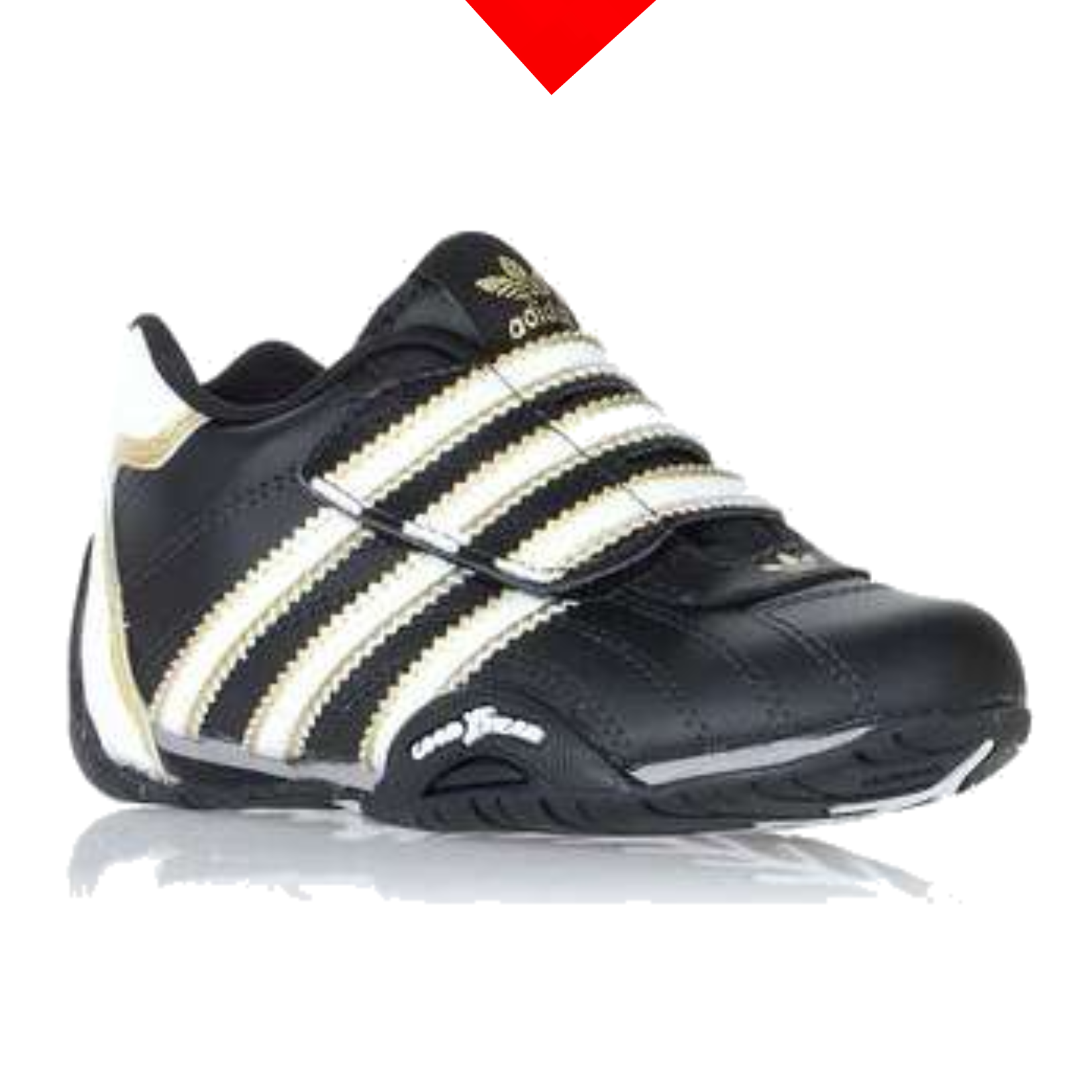 shoe