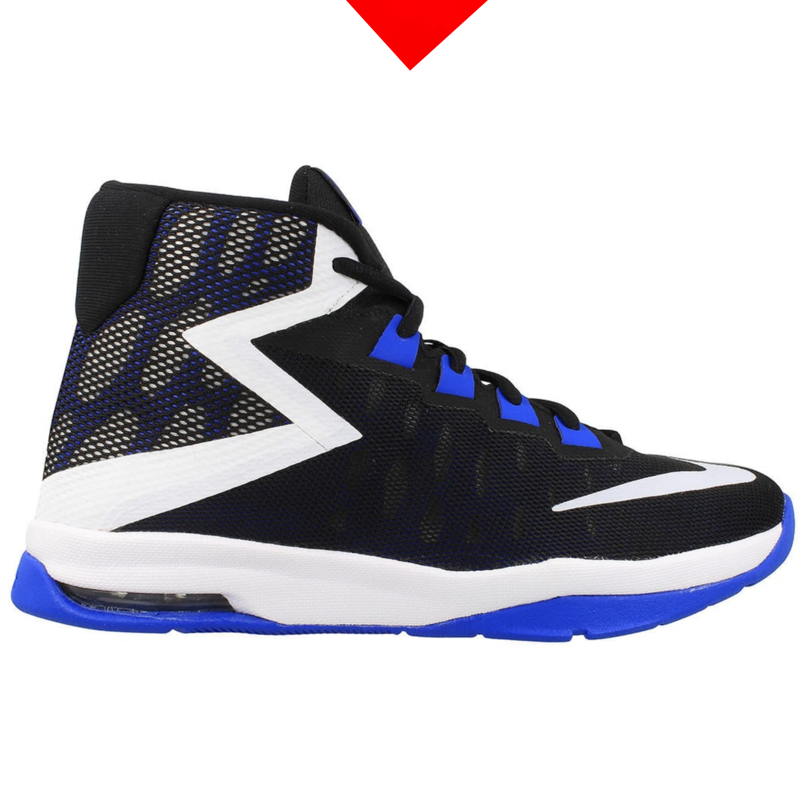 shoe