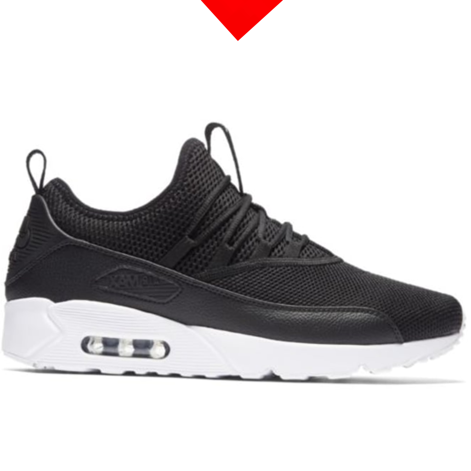shoe
