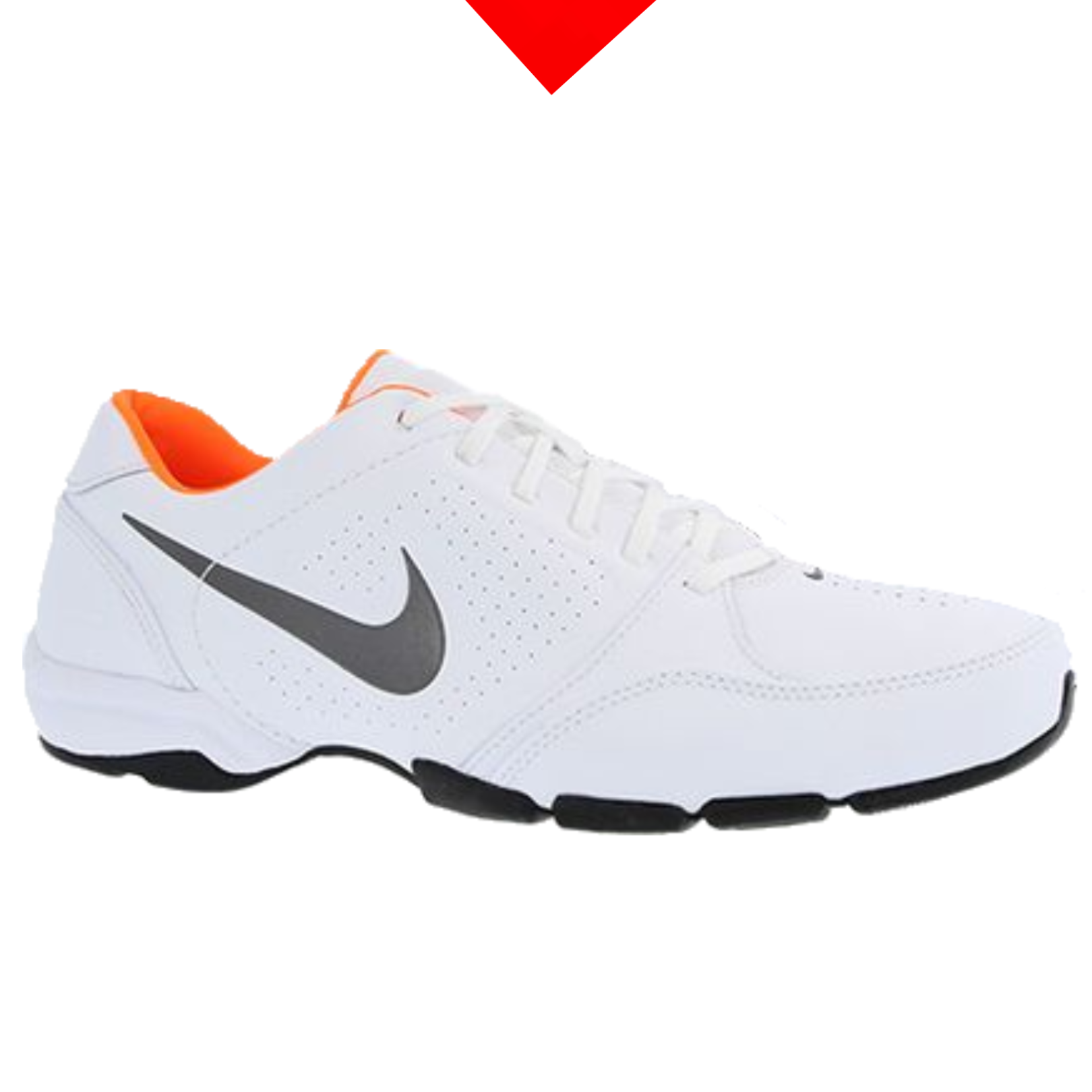shoe