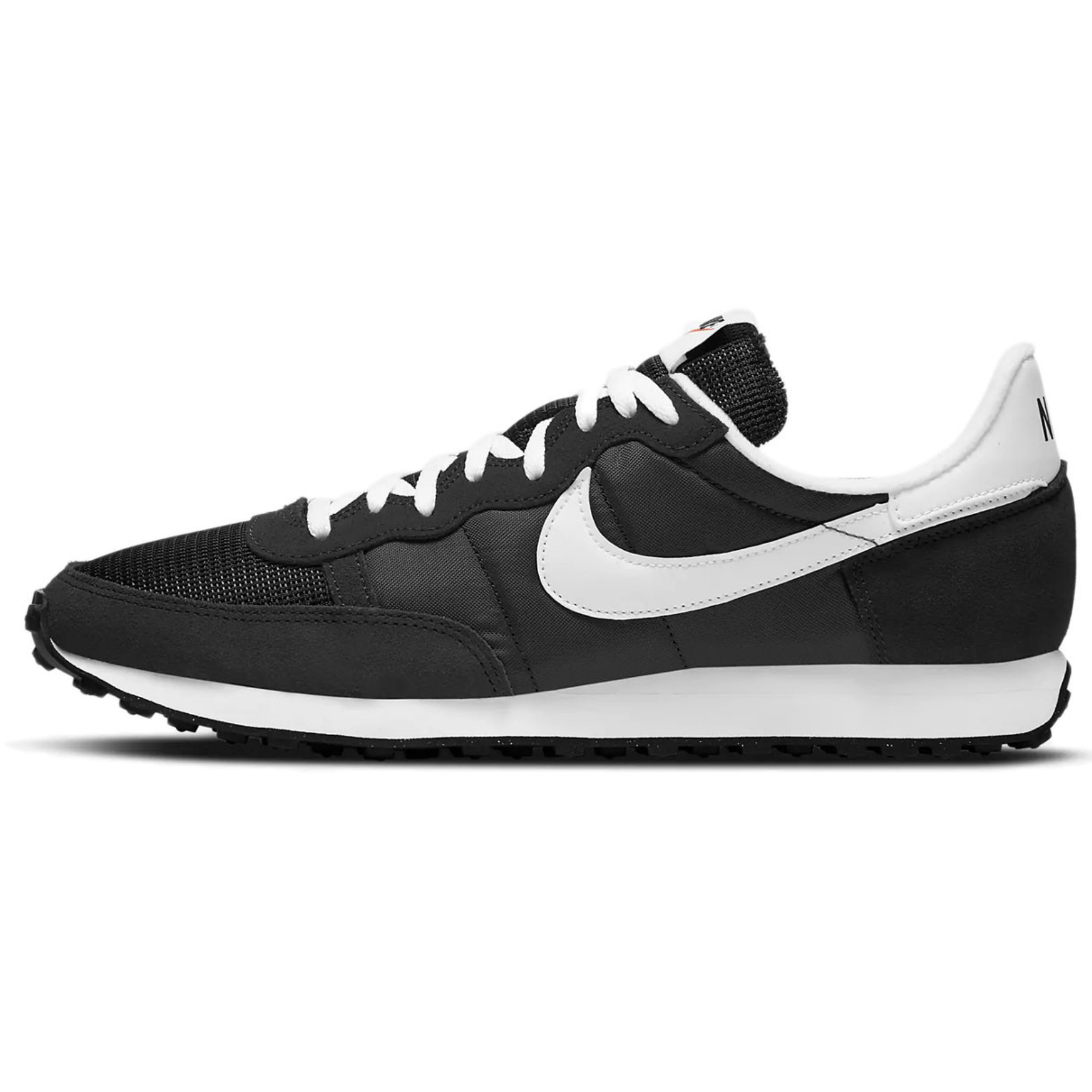 shoe