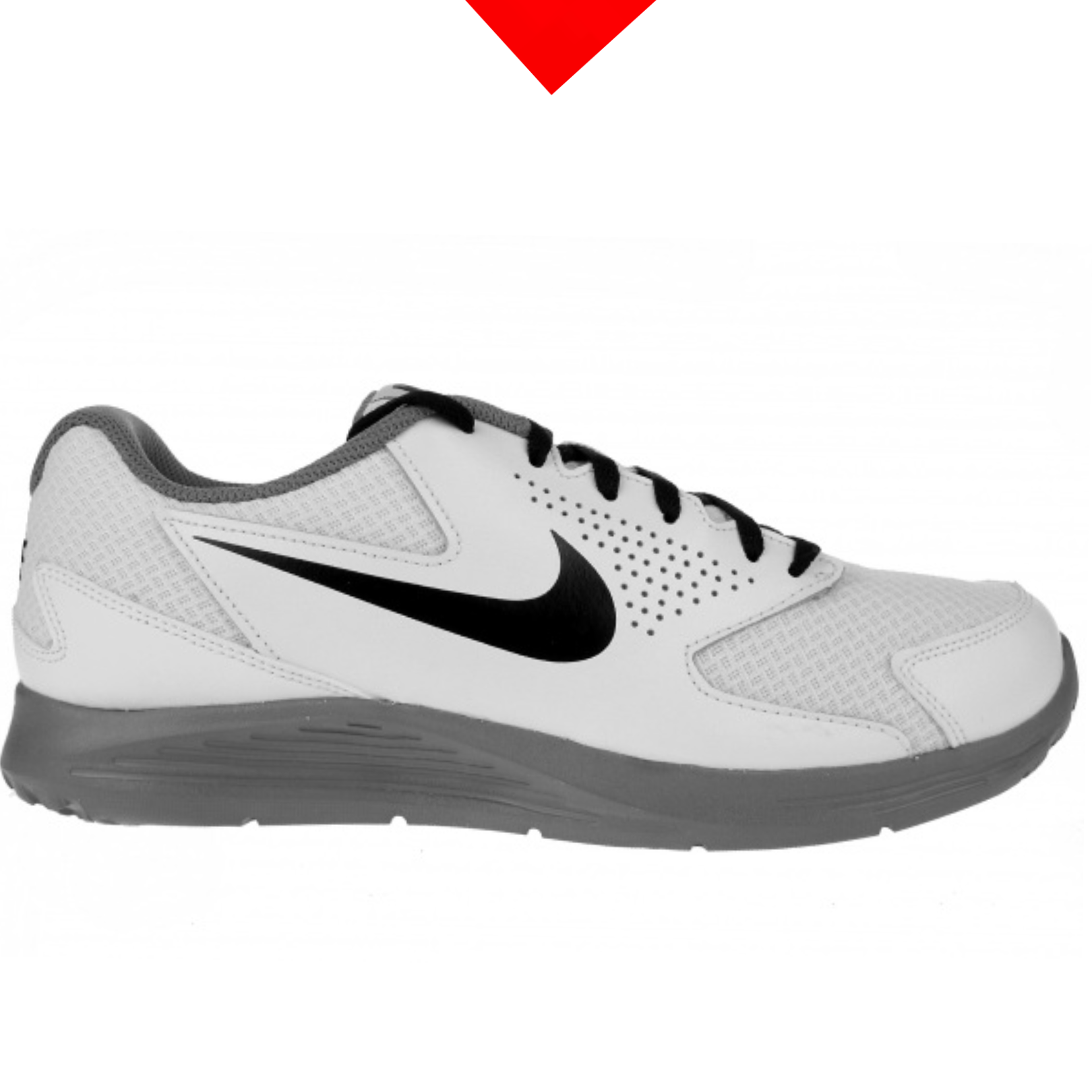 shoe