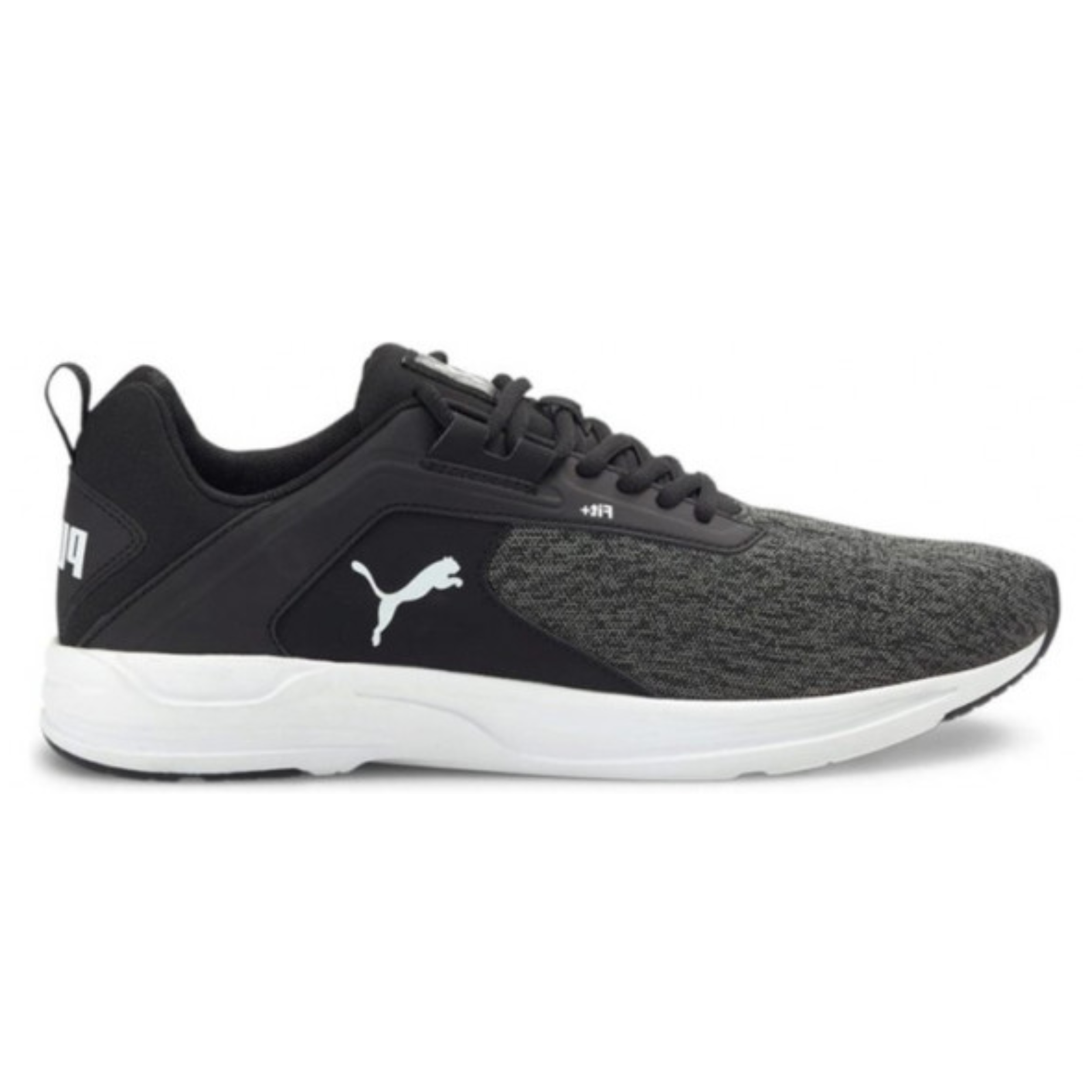 shoe
