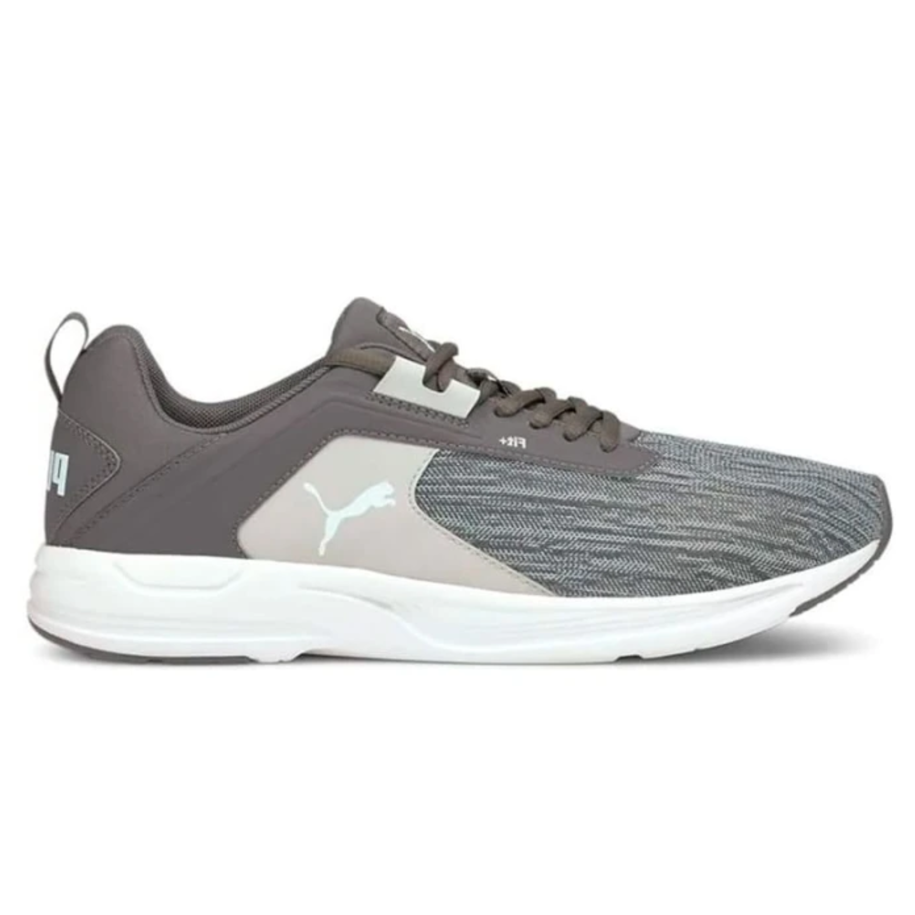 shoe