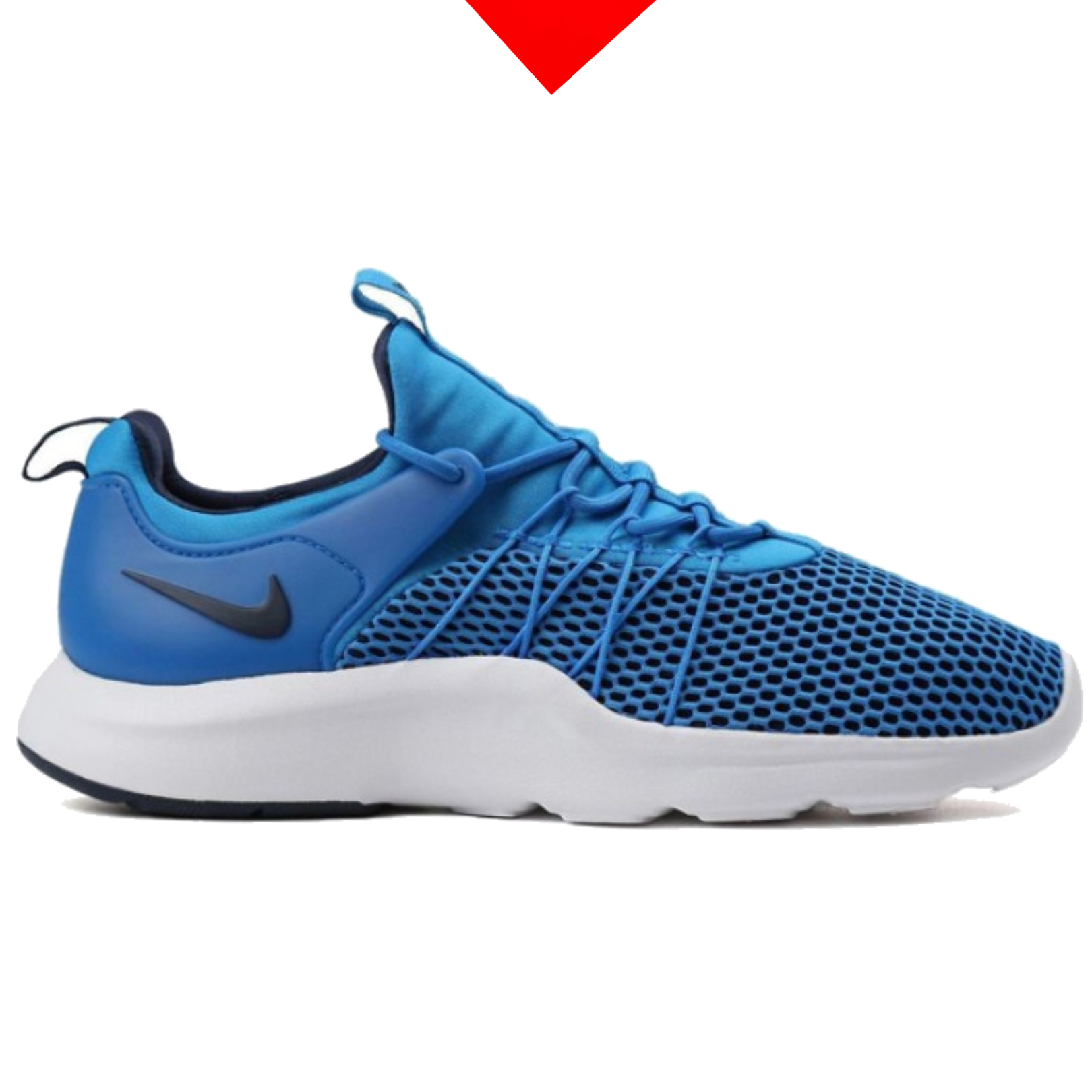 shoe