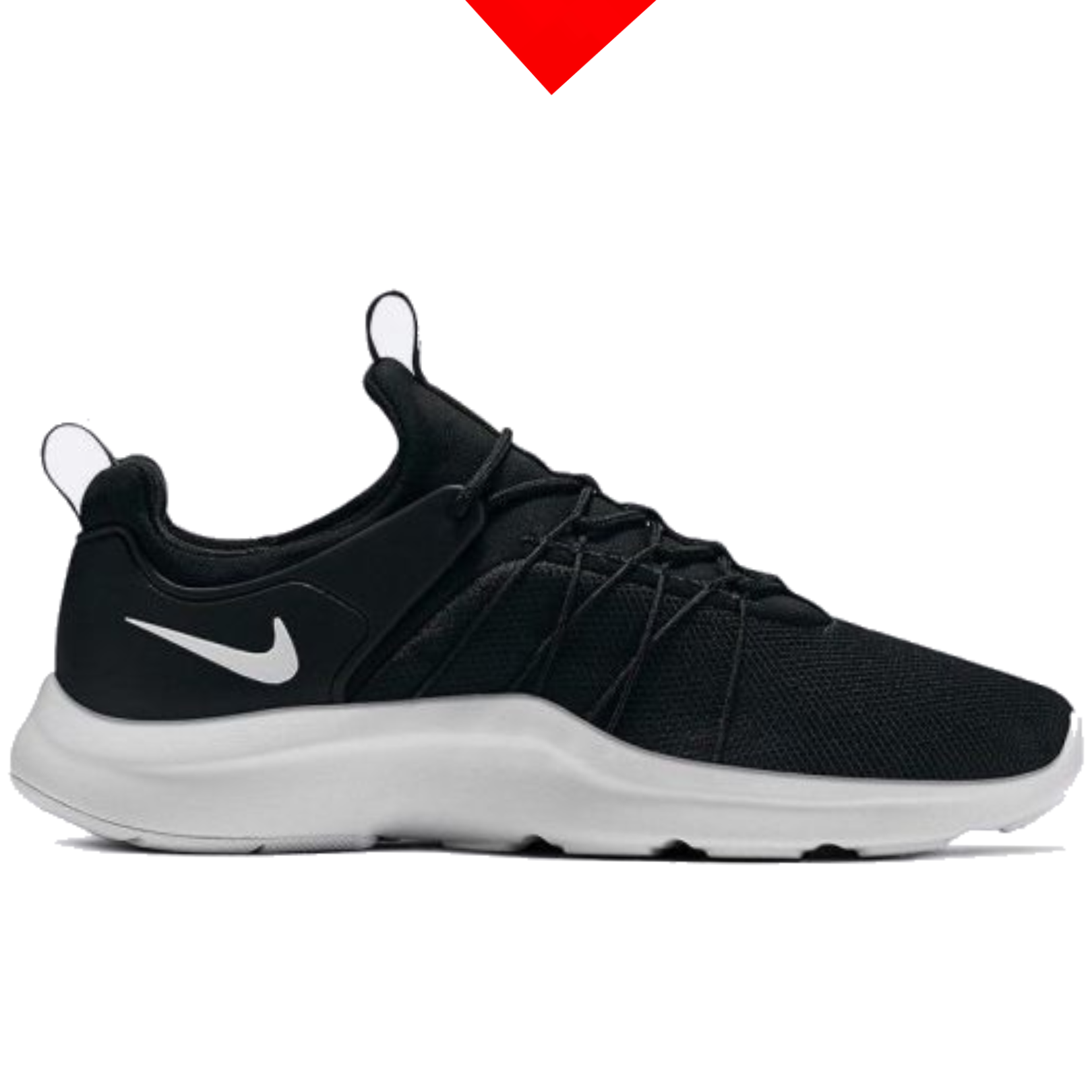shoe