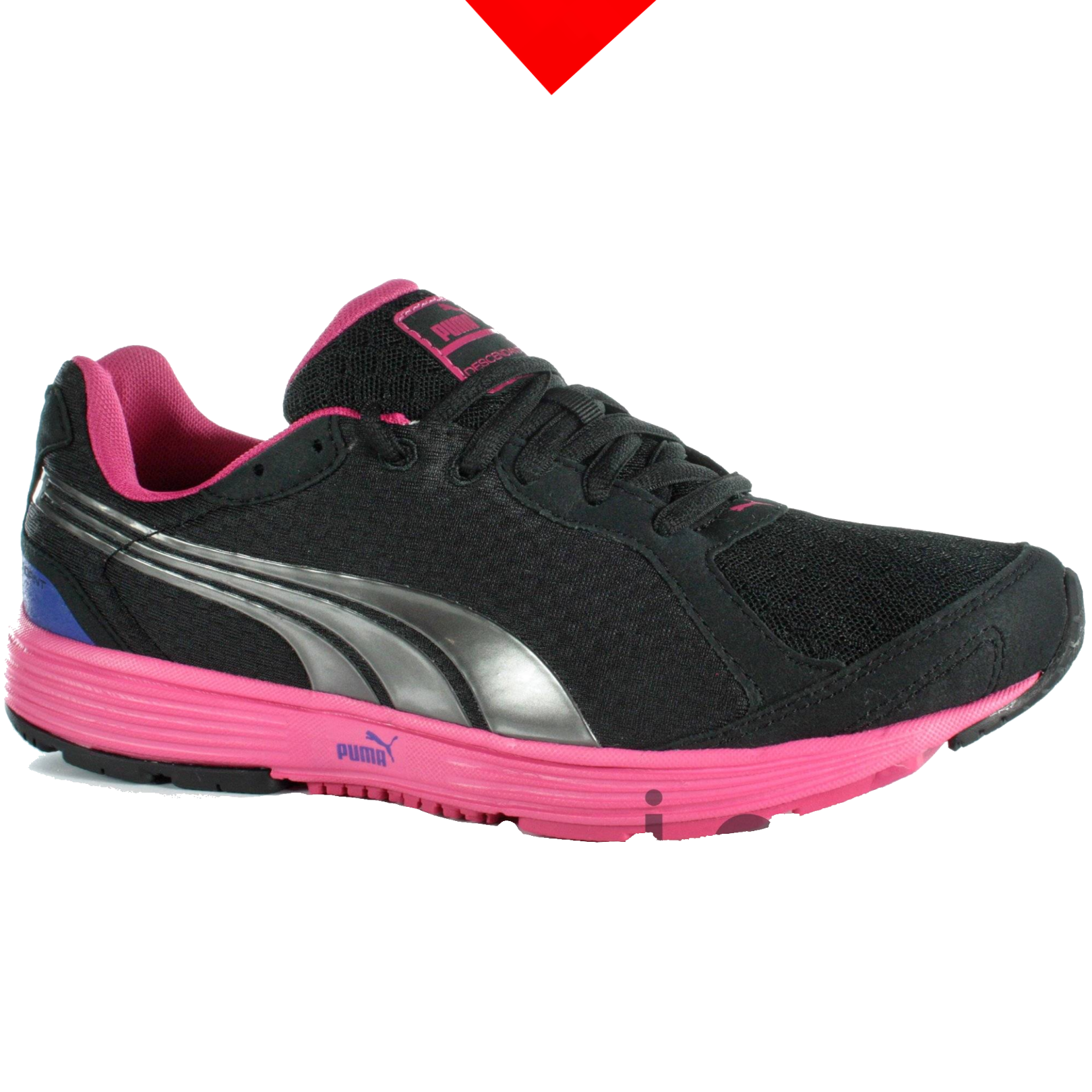 shoe