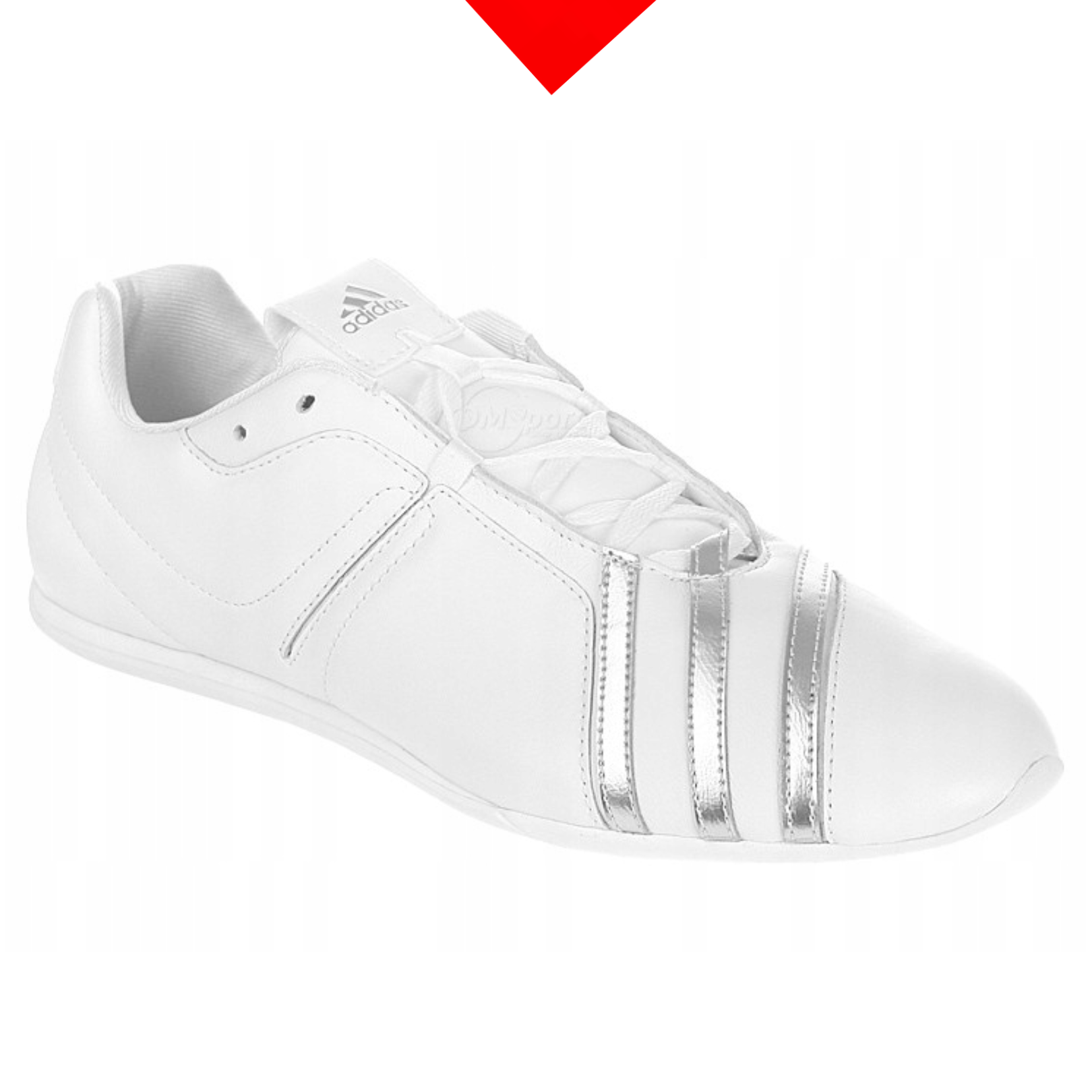 shoe