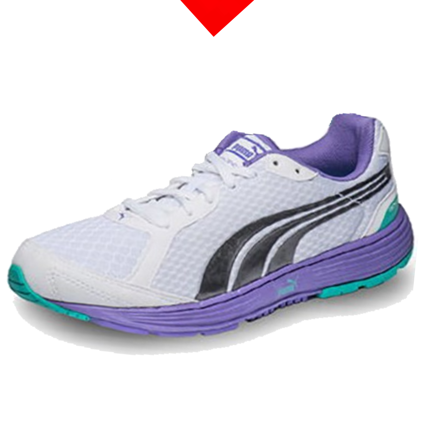 shoe