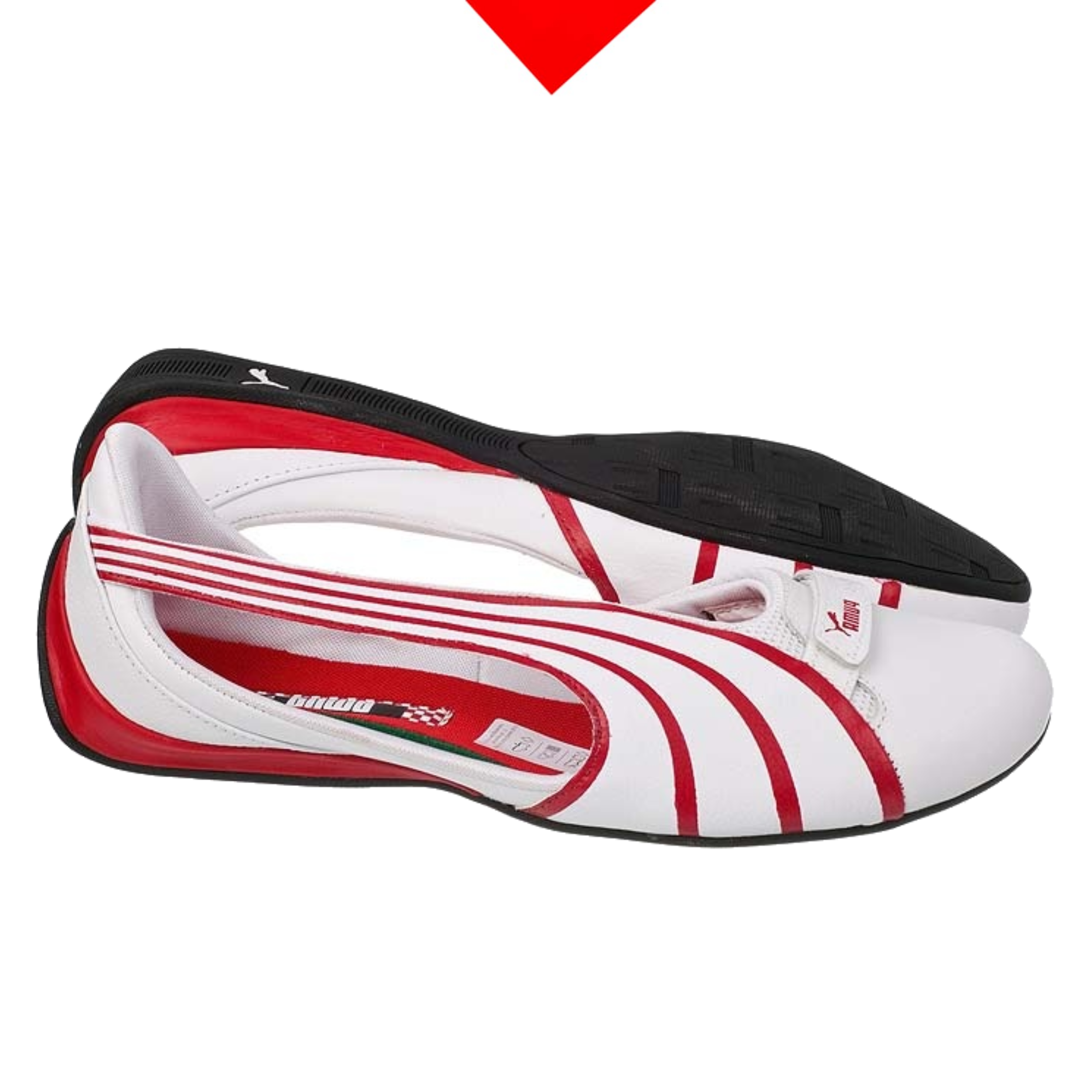 shoe