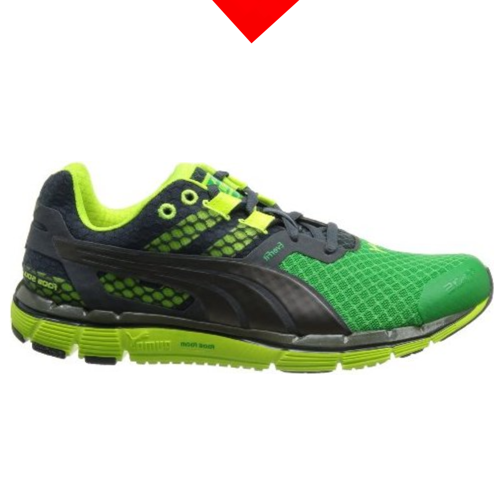 shoe