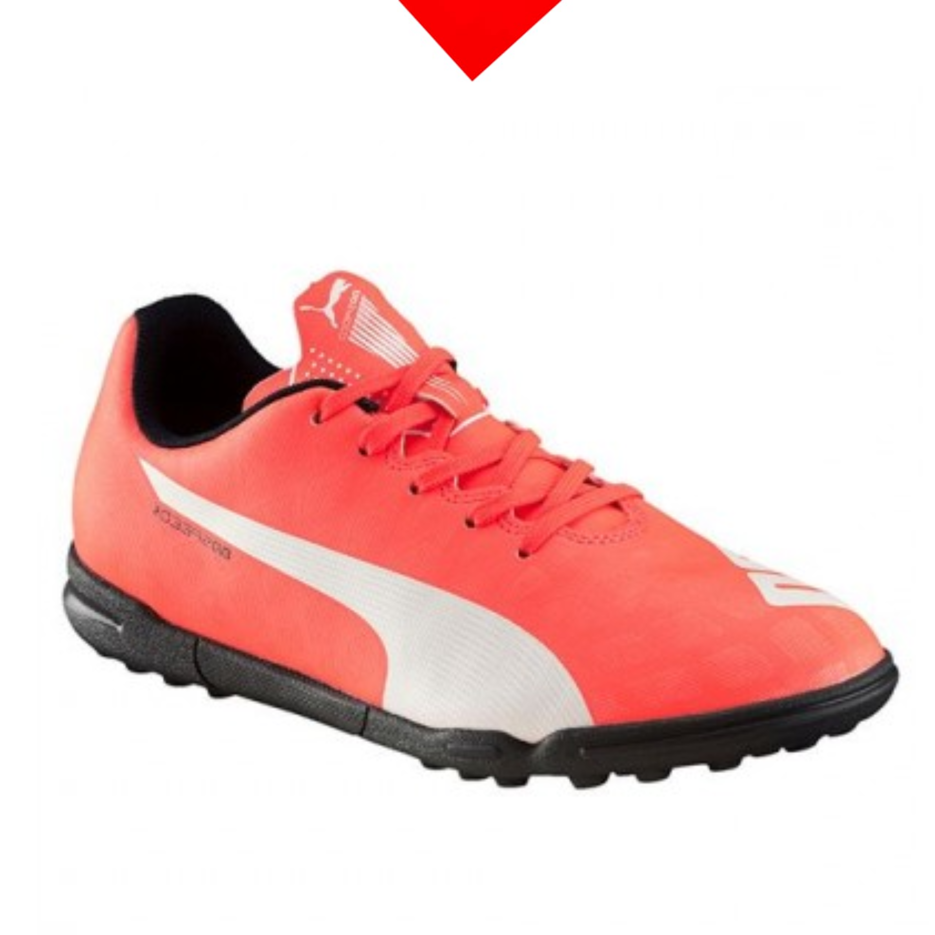 shoe