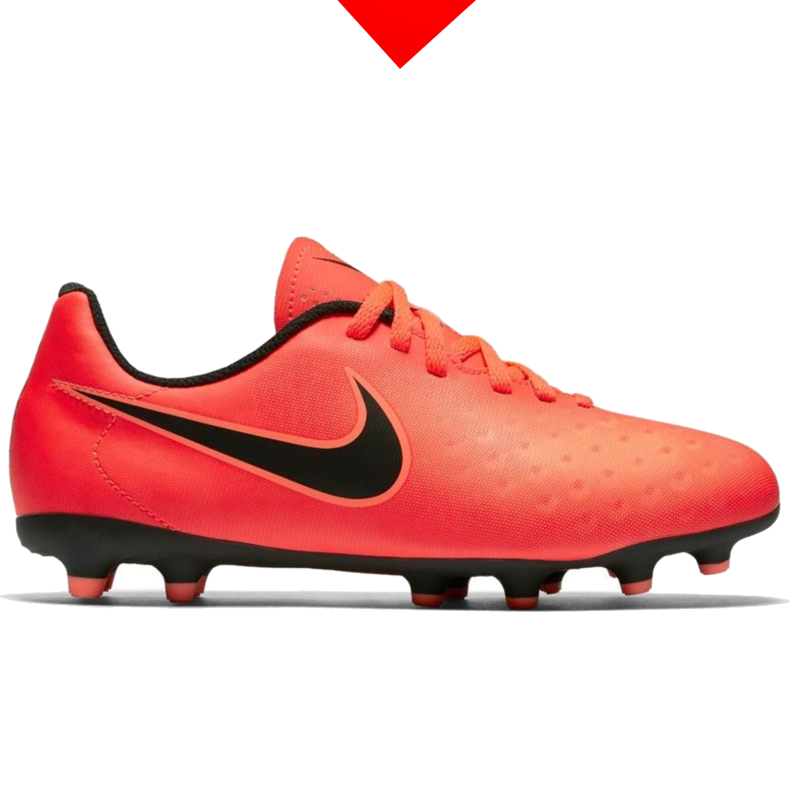 shoe
