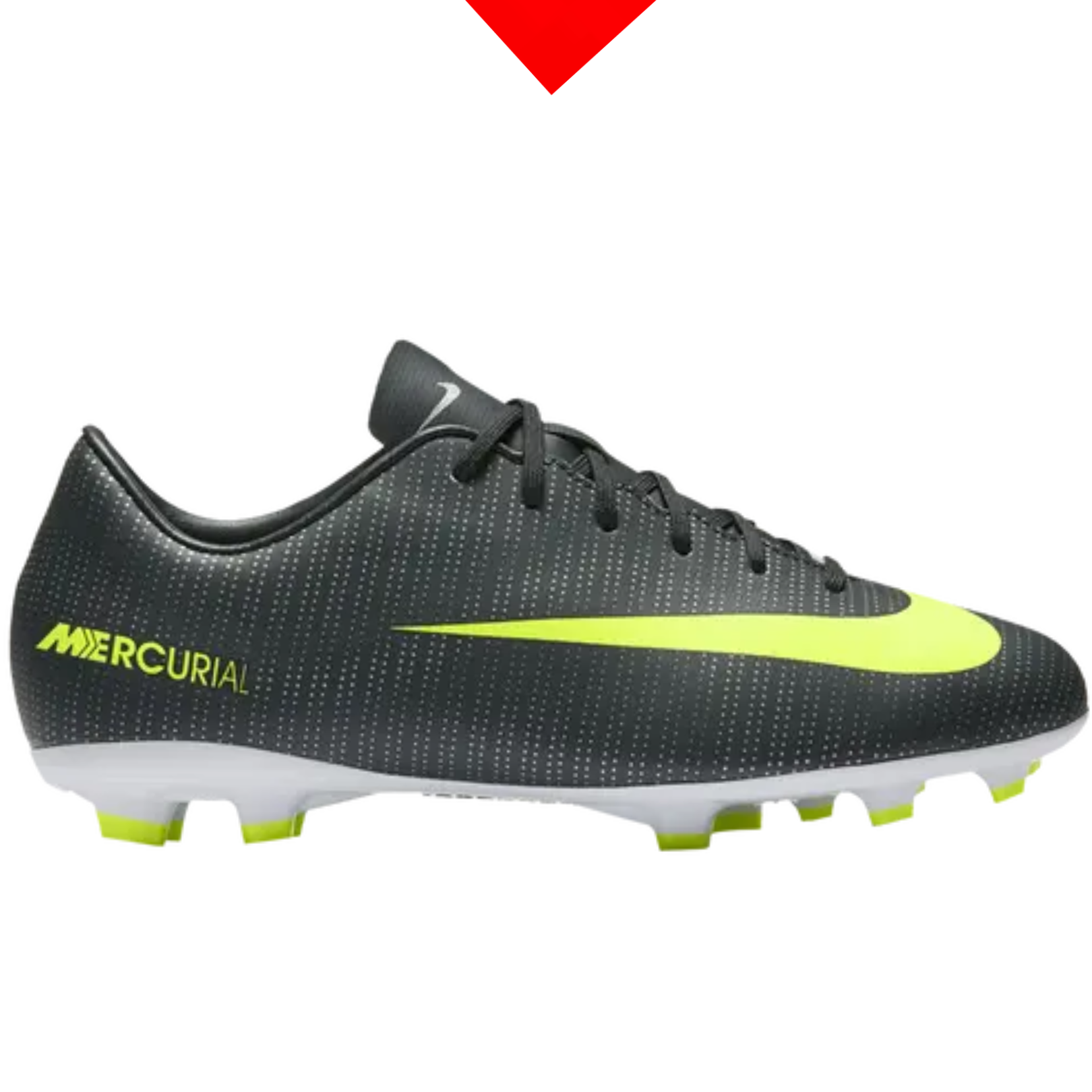 shoe