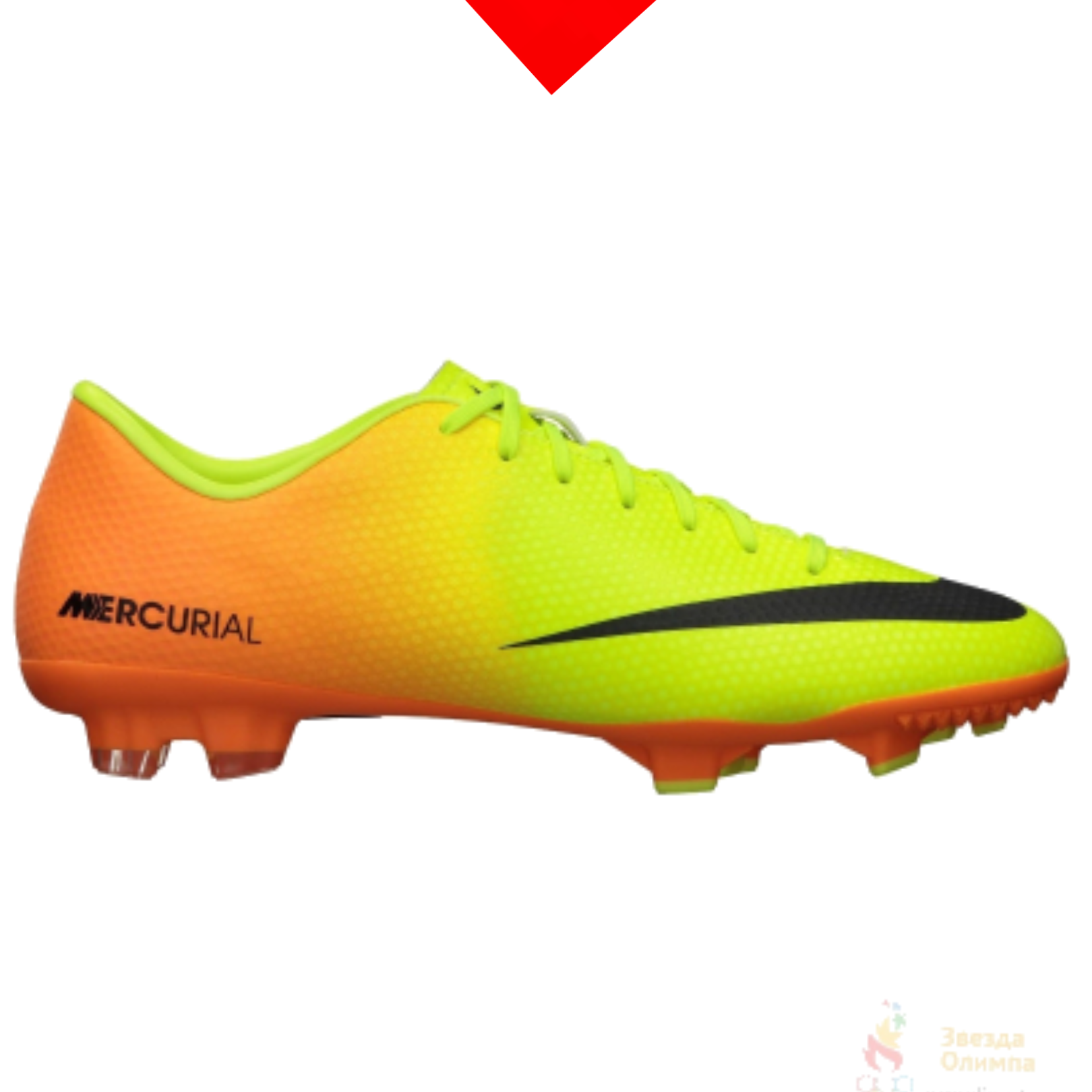 shoe