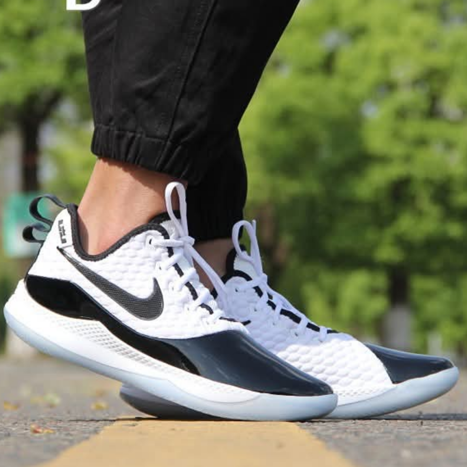 shoe