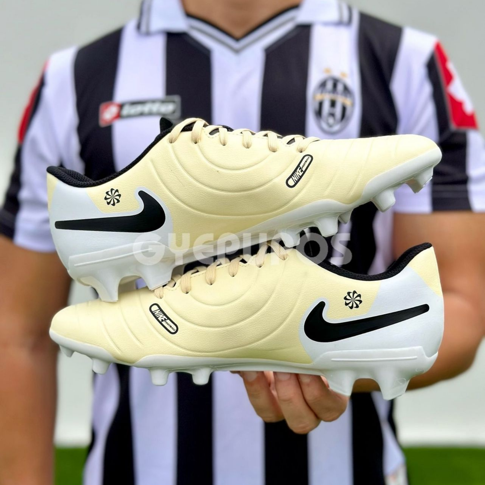 shoe