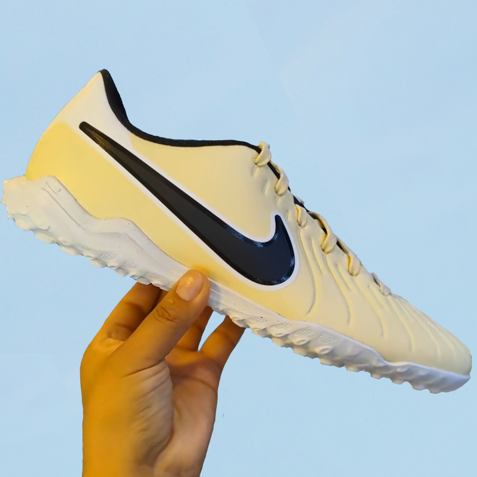 shoe