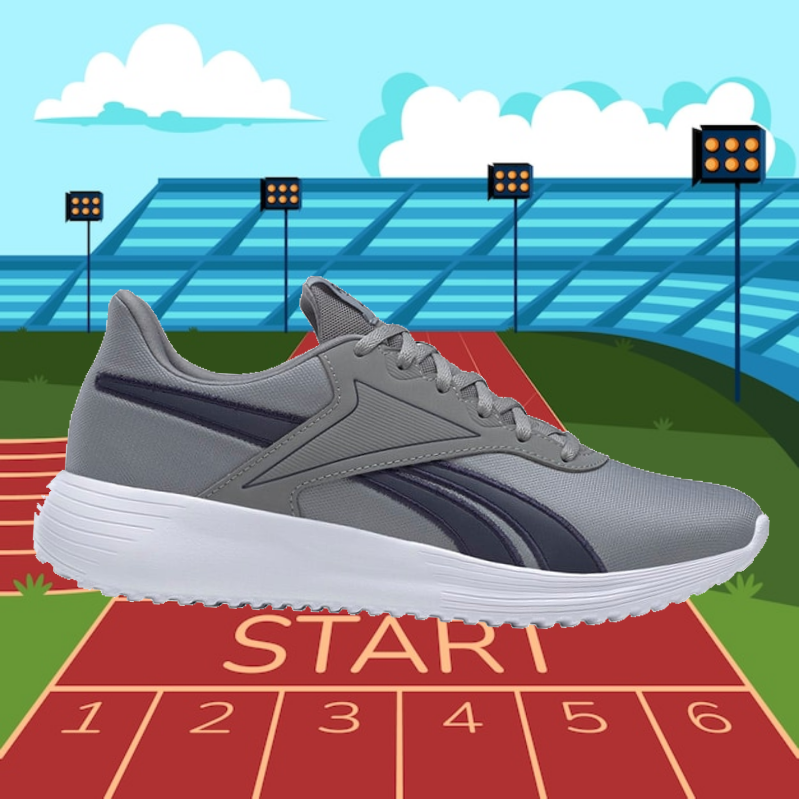 shoe