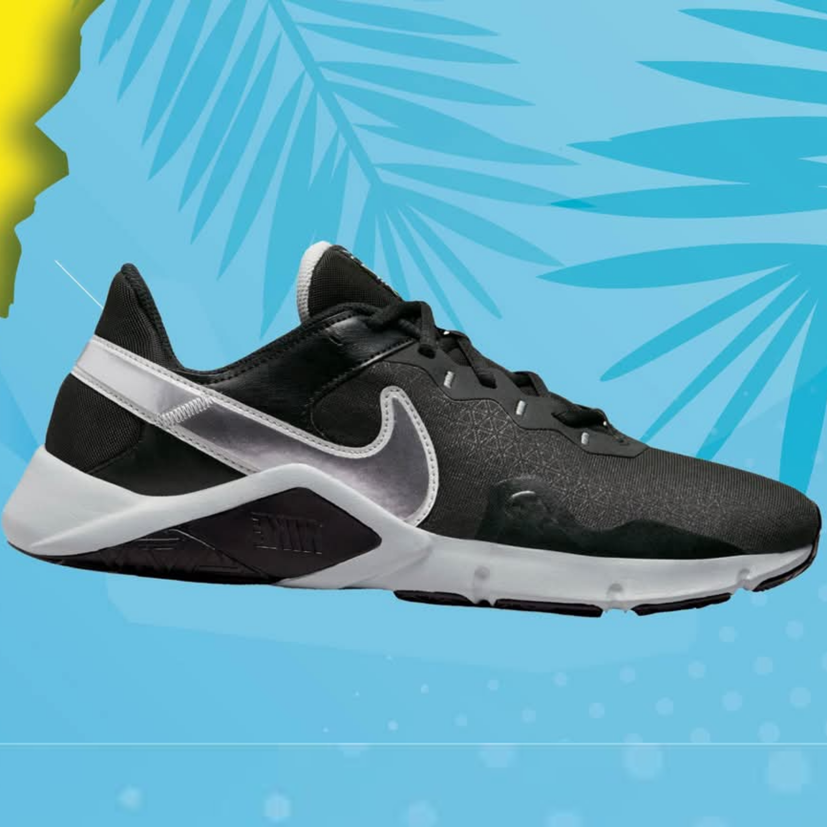 shoe