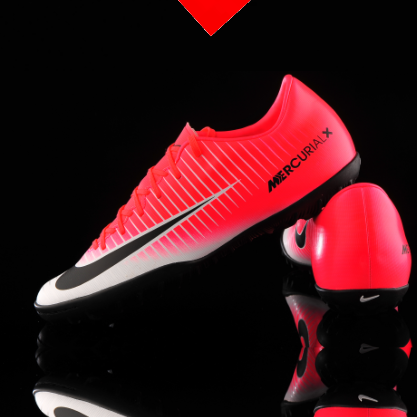 shoe