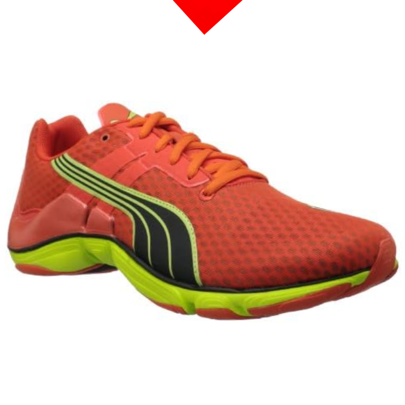 shoe