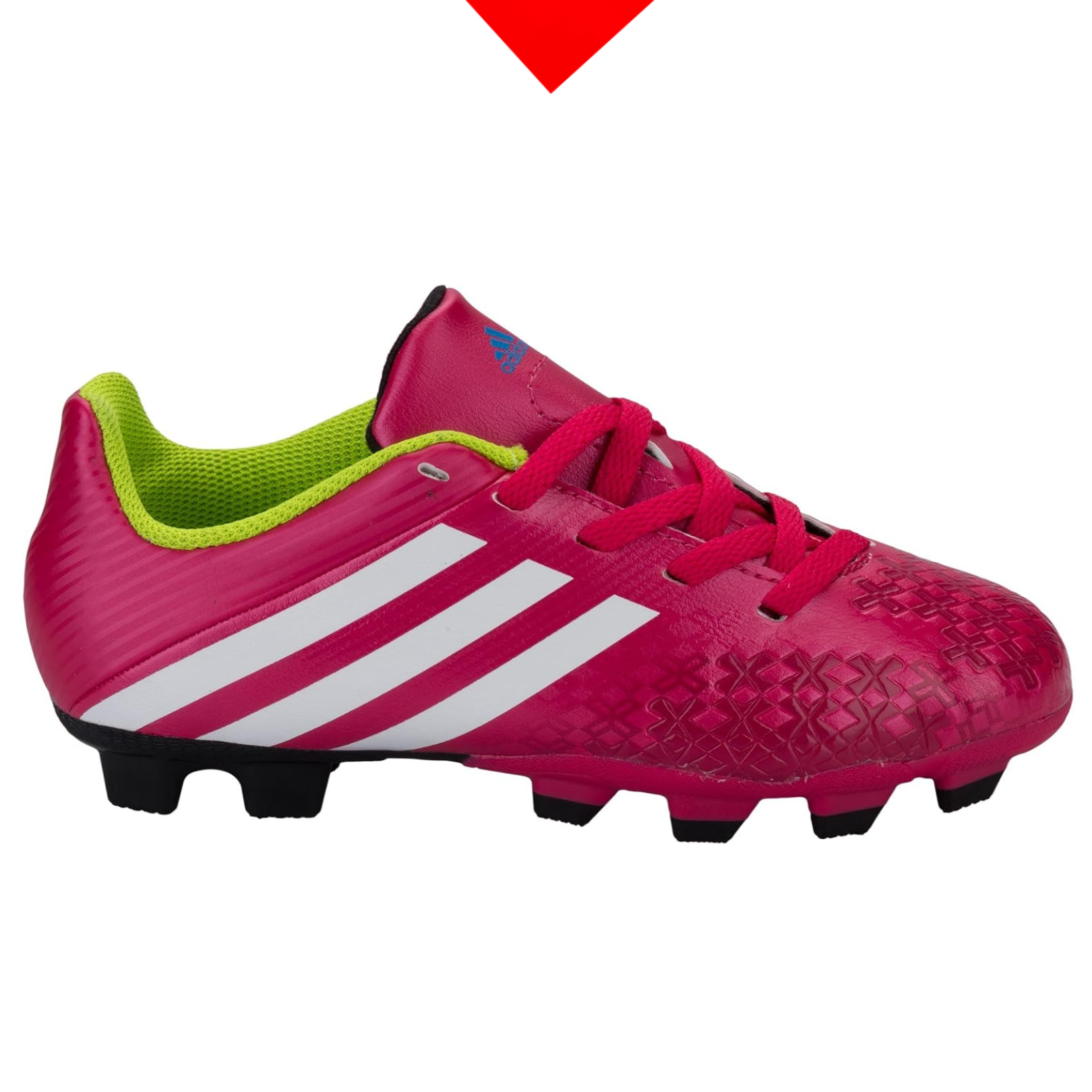 shoe