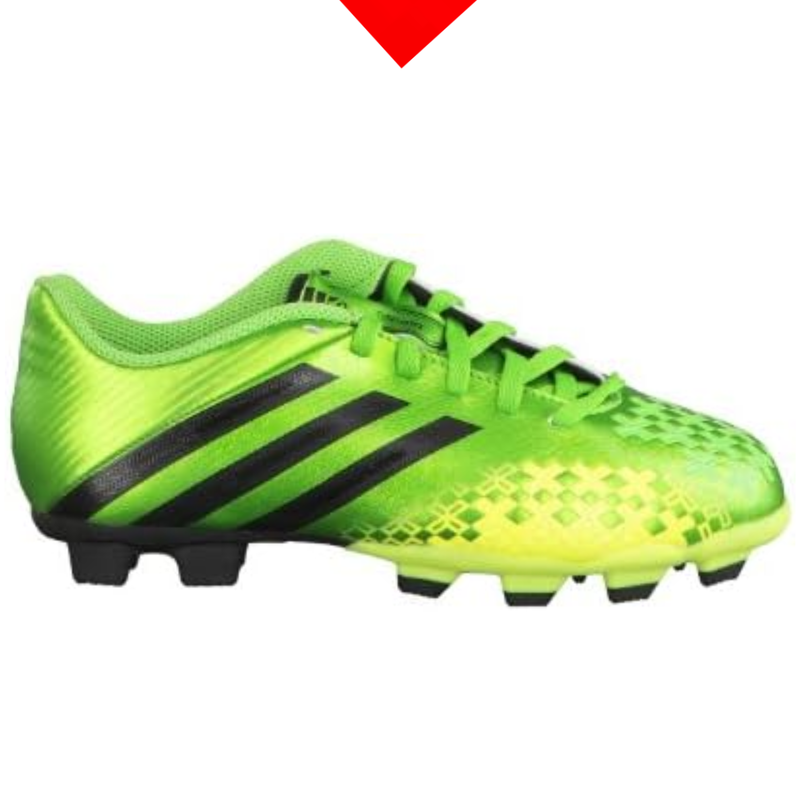 shoe
