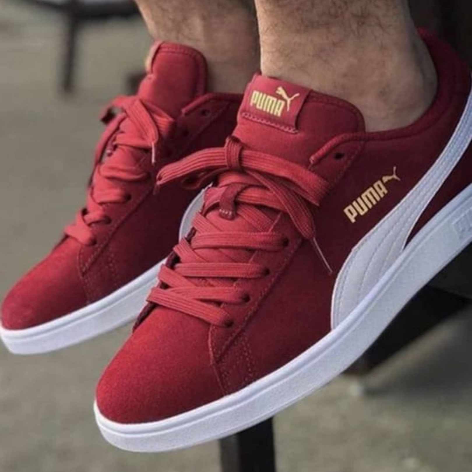 shoe
