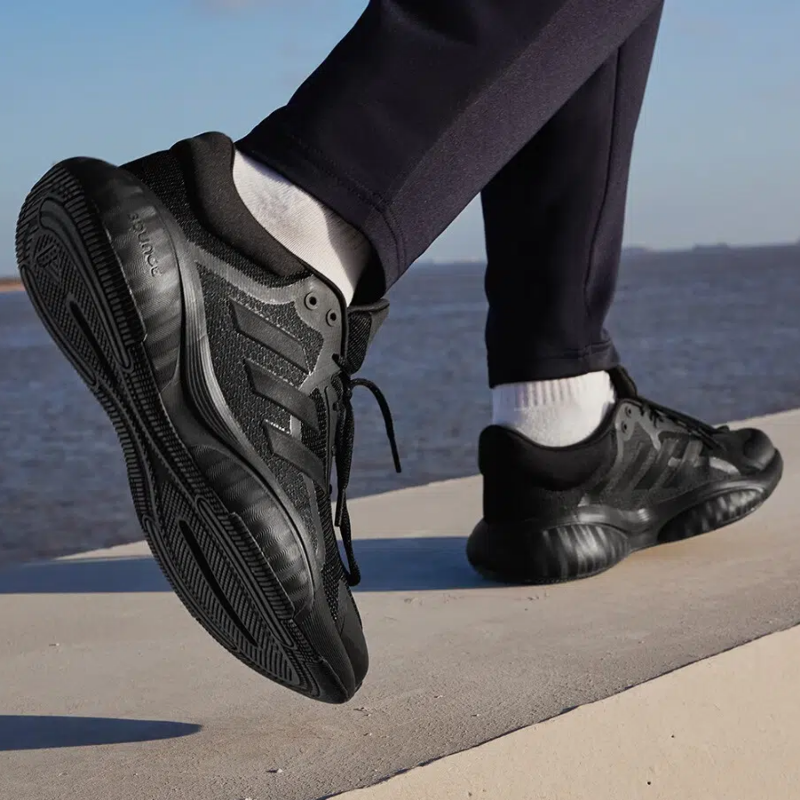 shoe