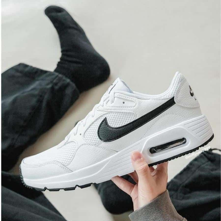 shoe