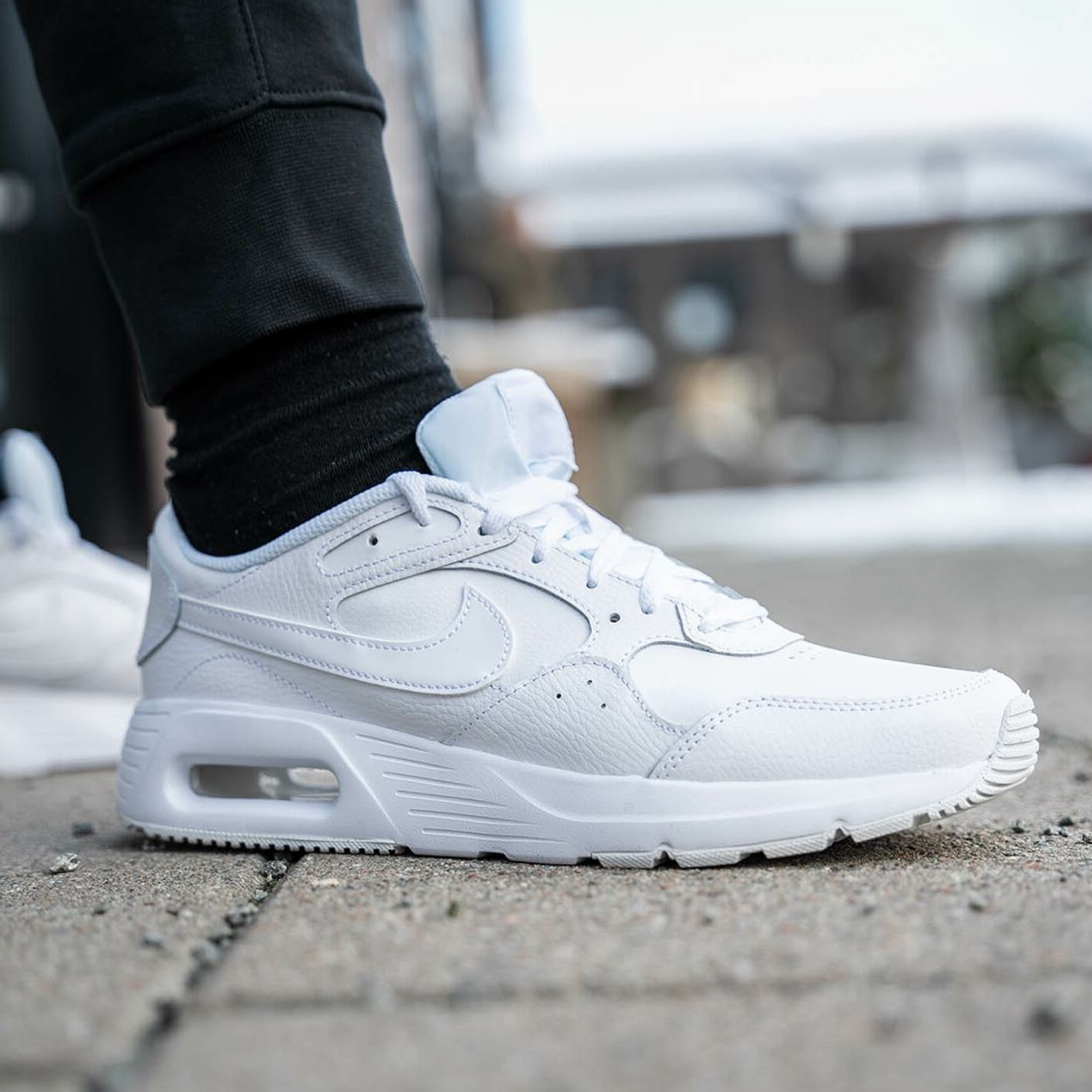 shoe