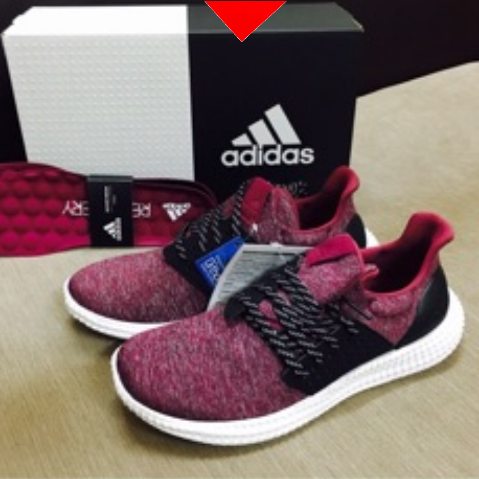 shoe