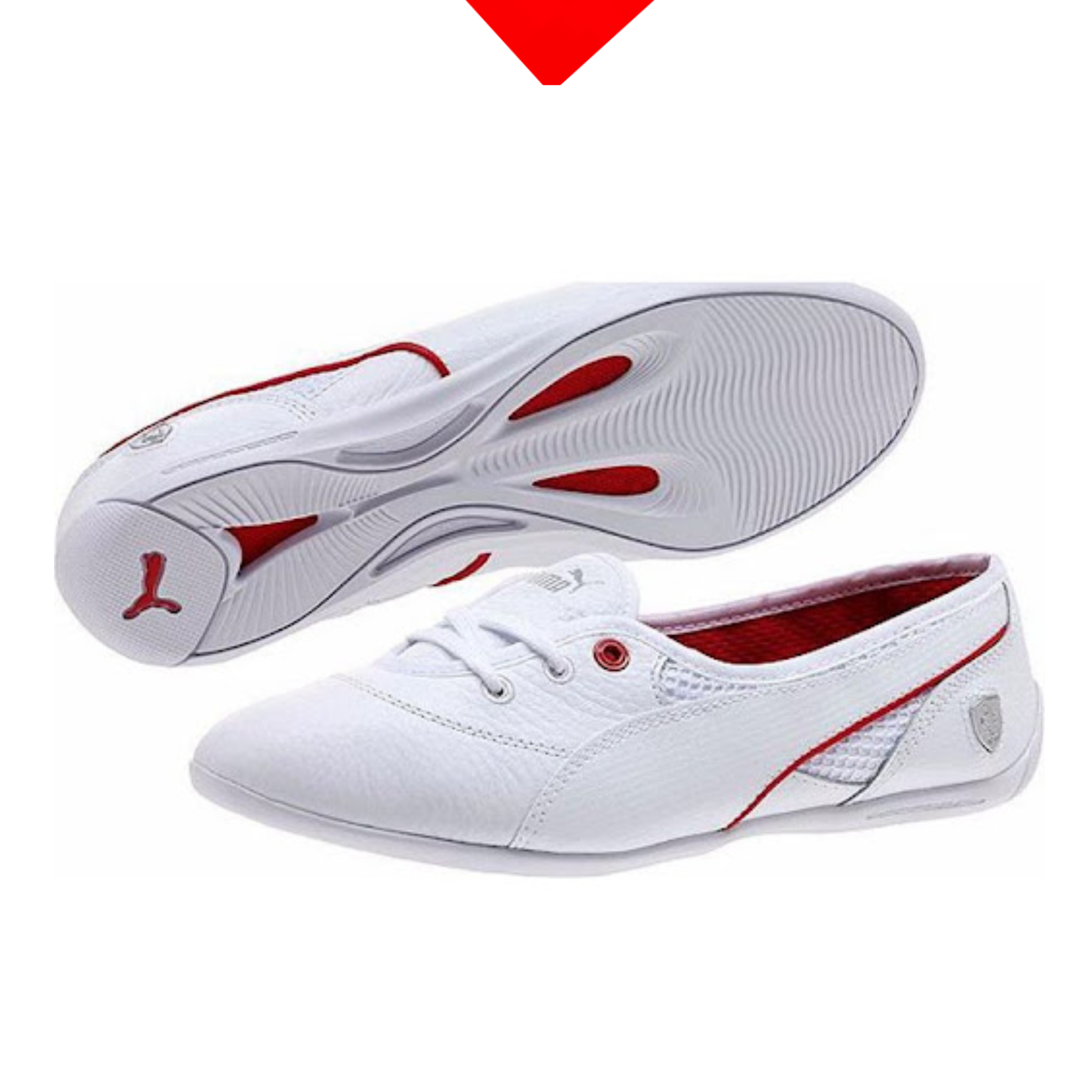 shoe
