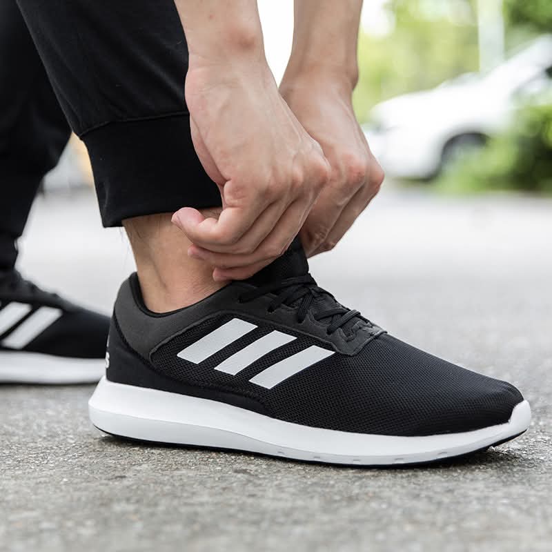 shoe