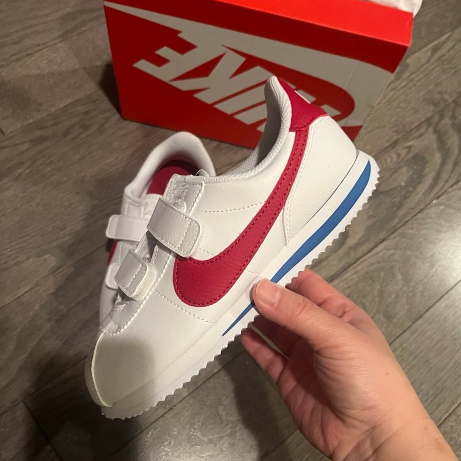 shoe