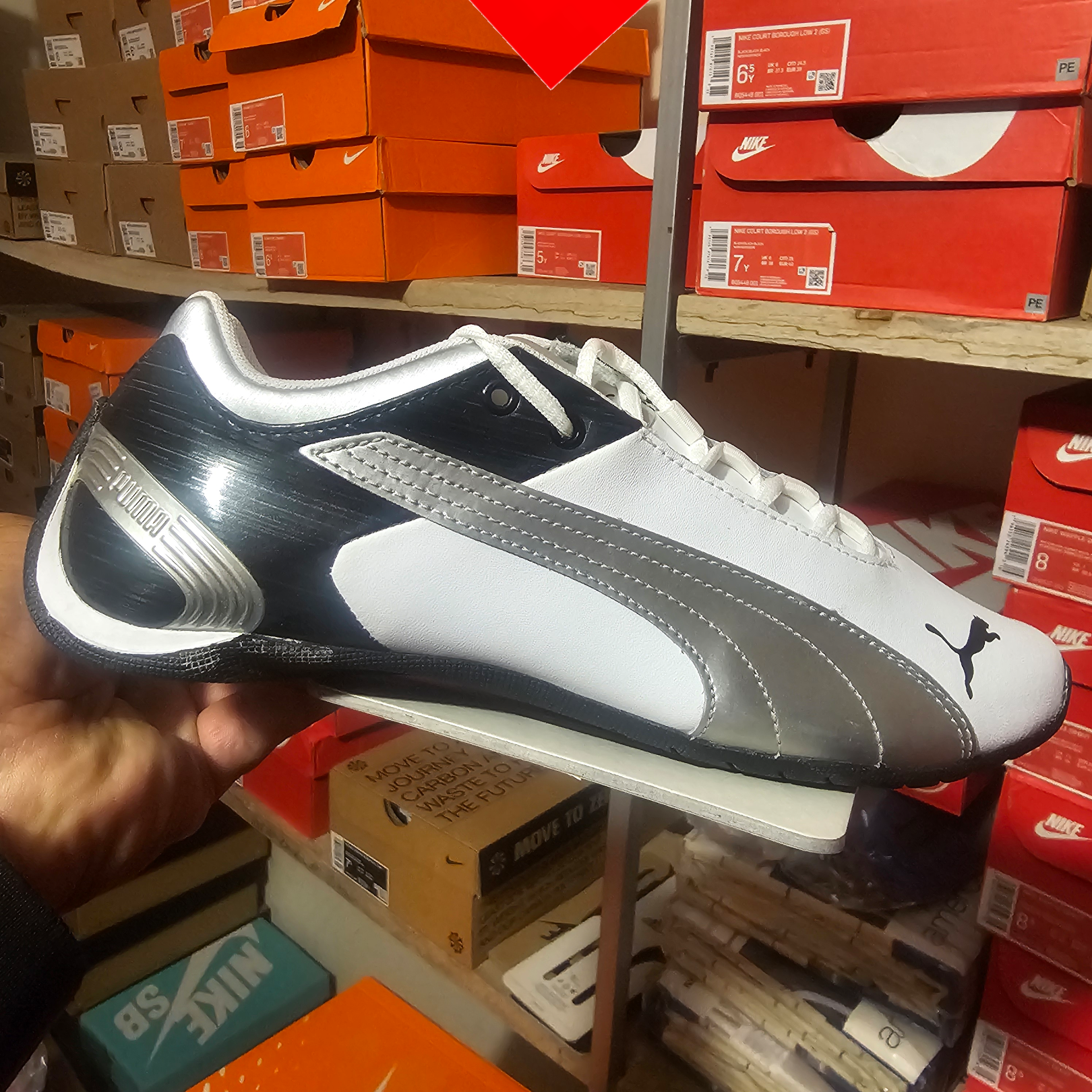 shoe