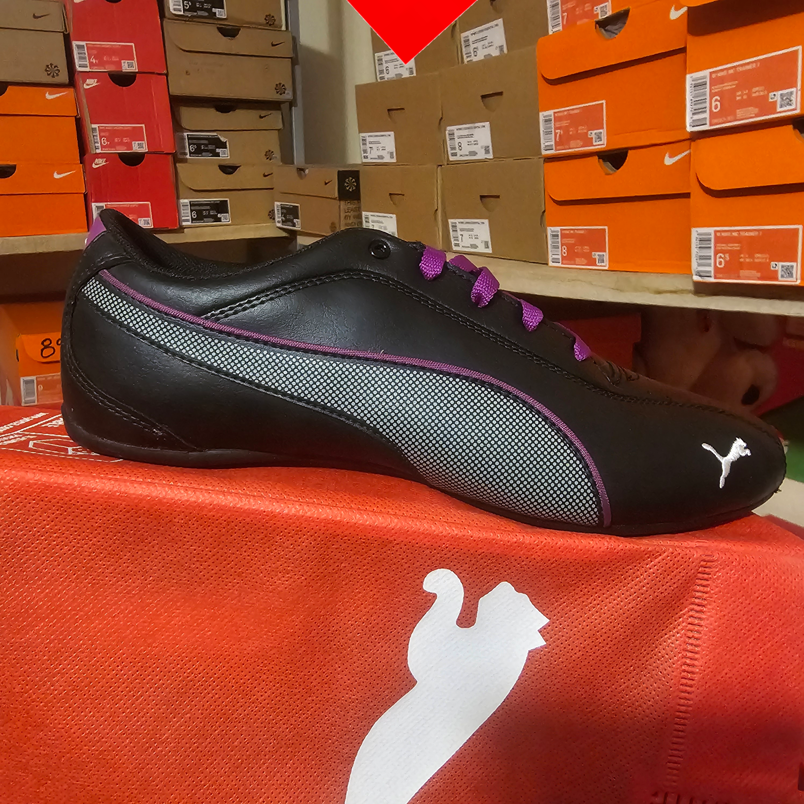 shoe