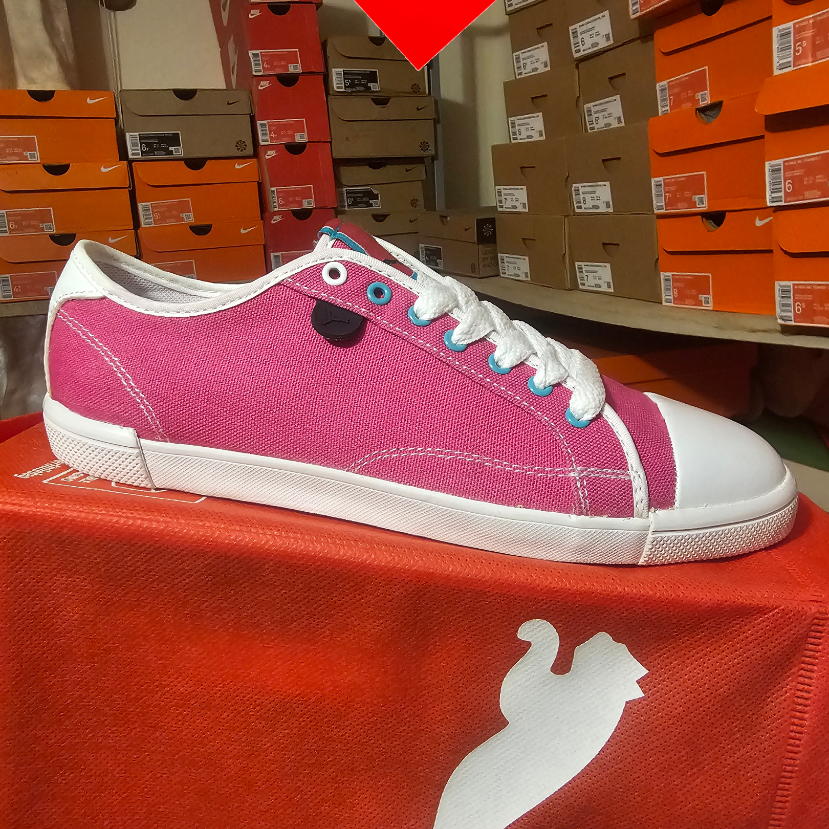 shoe