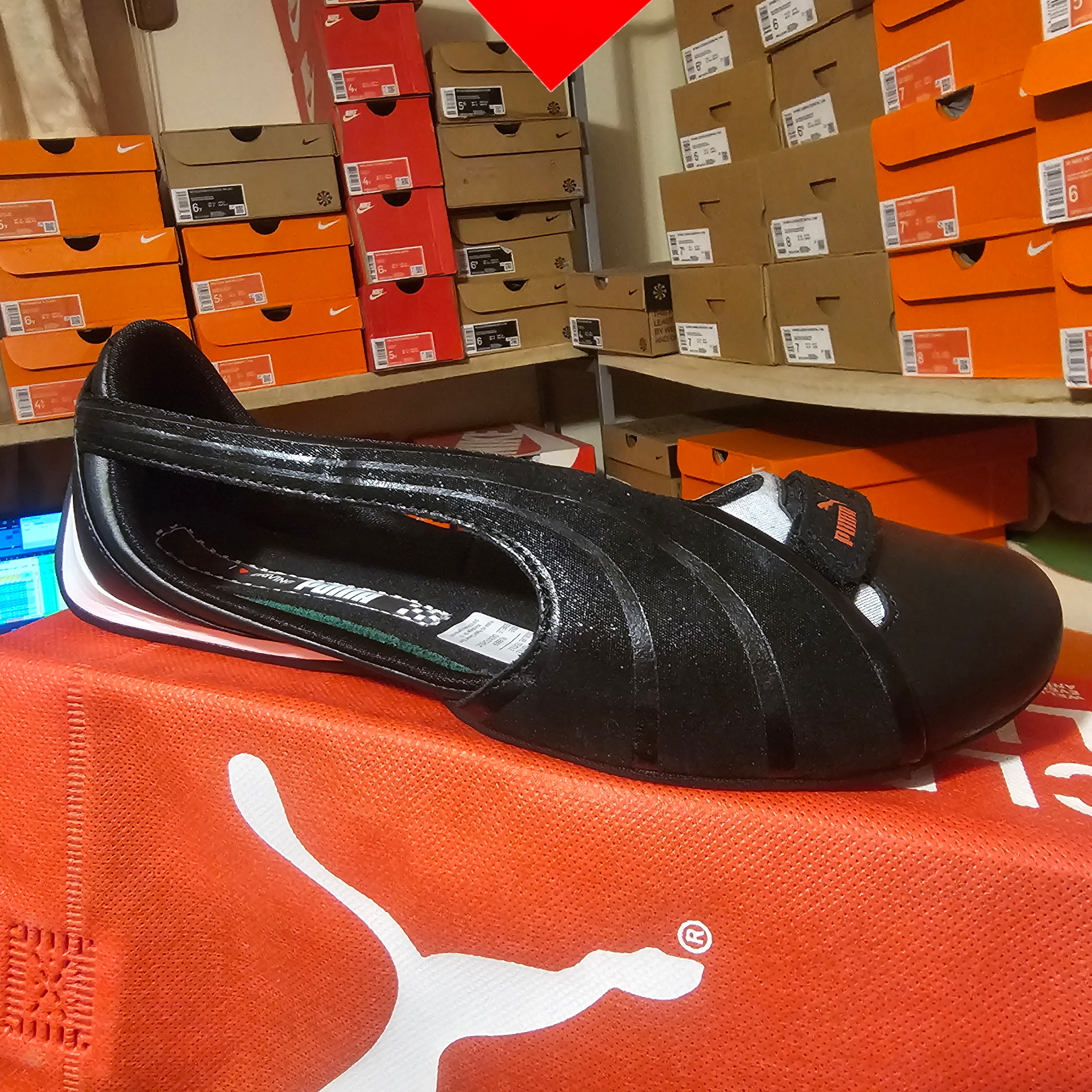 shoe