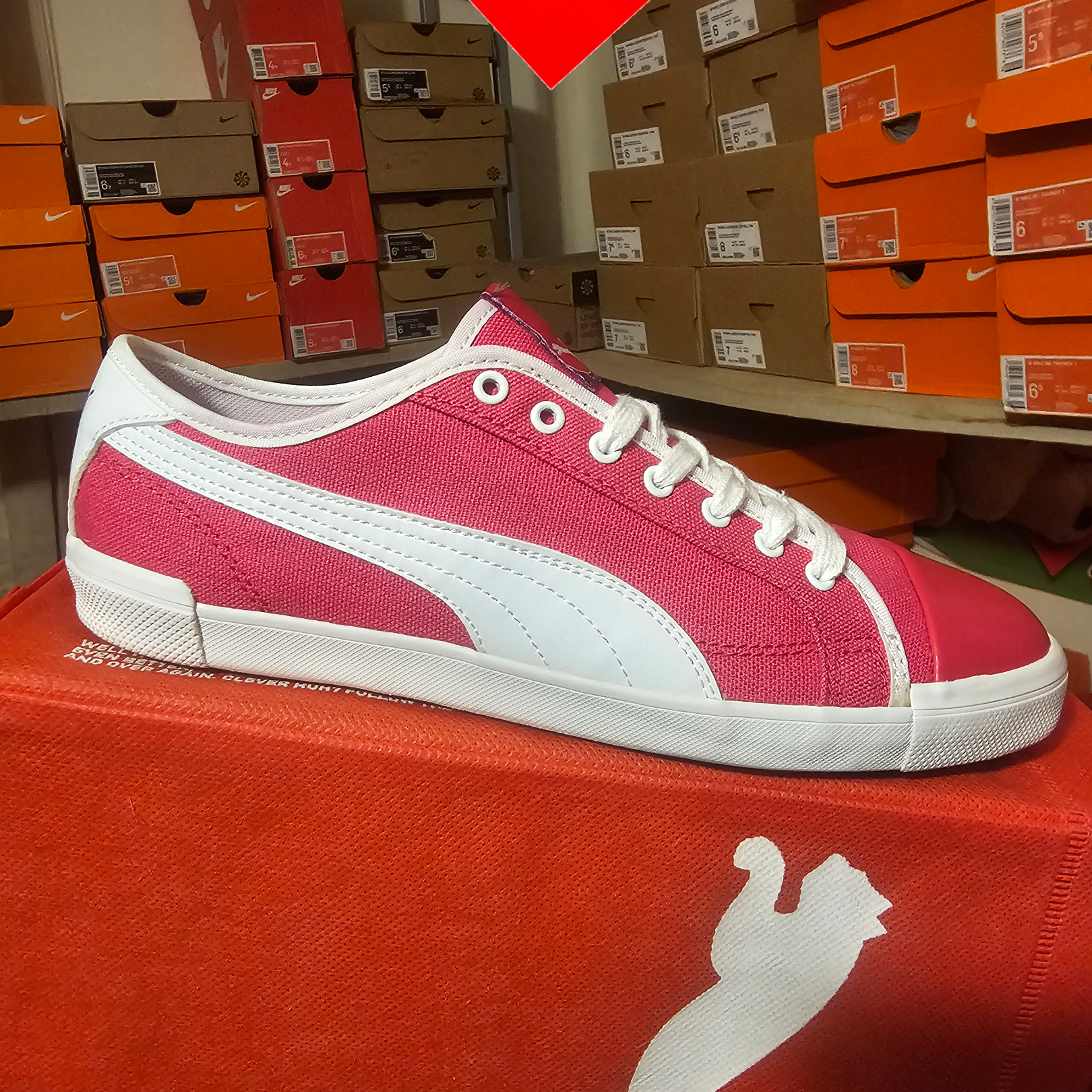 shoe
