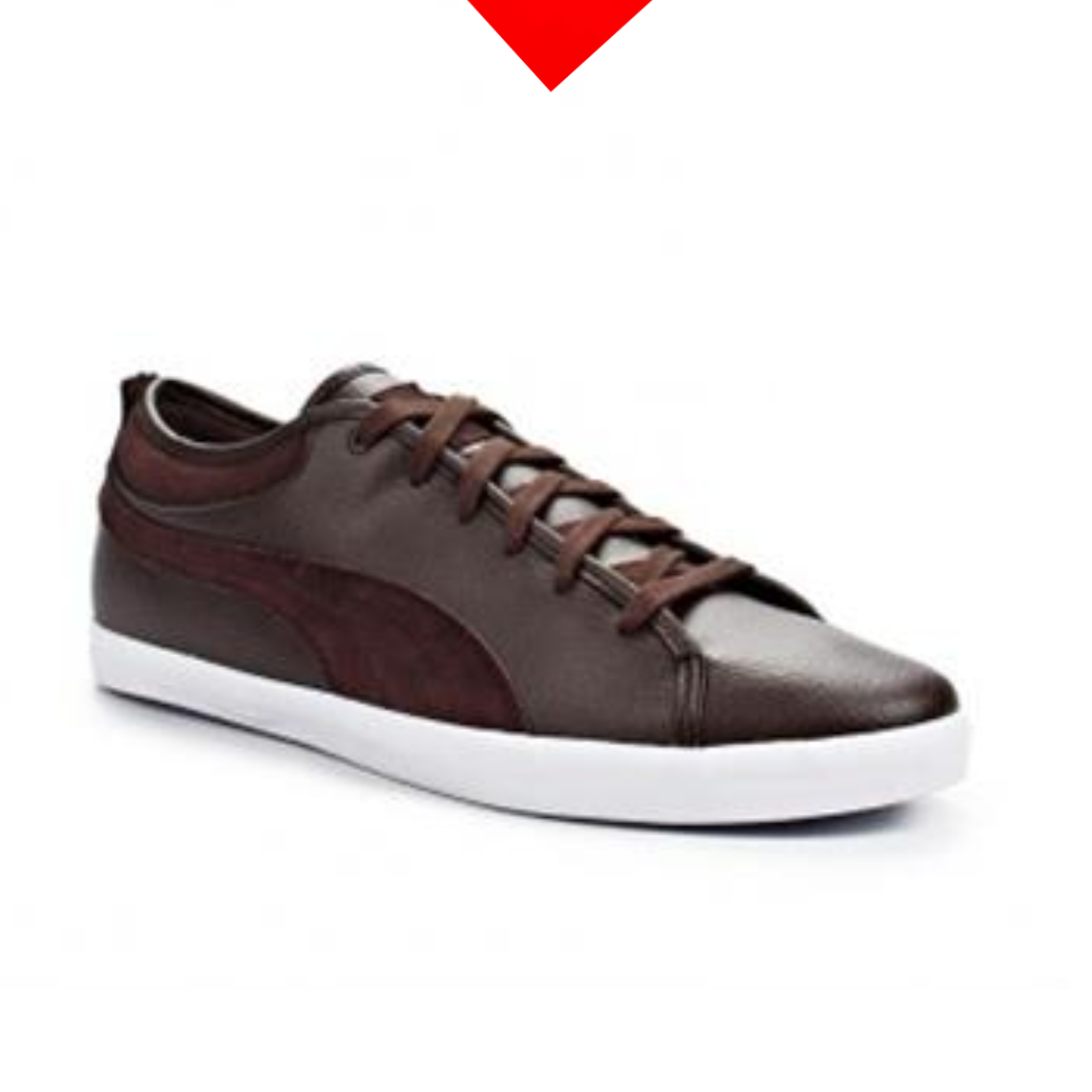 shoe