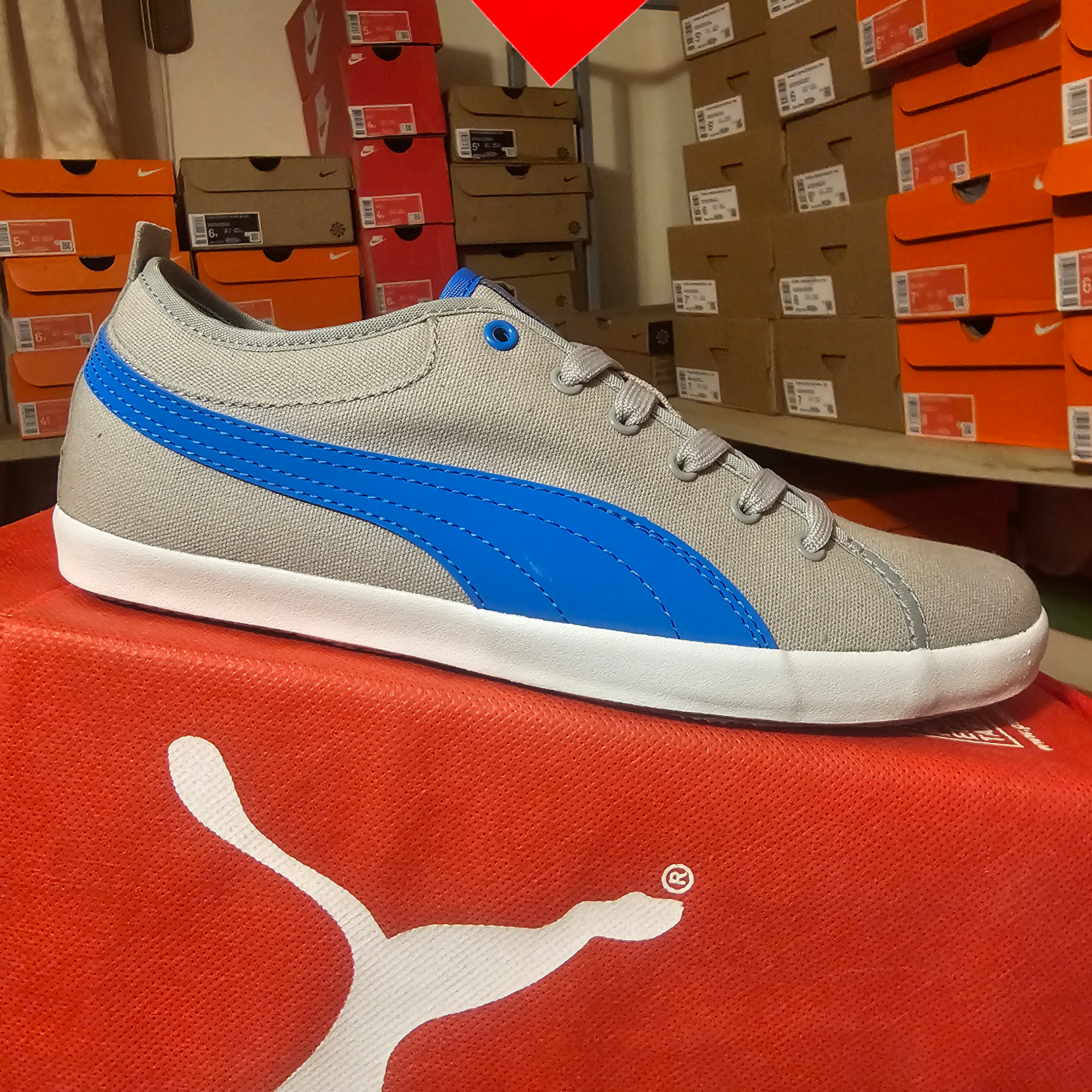 shoe