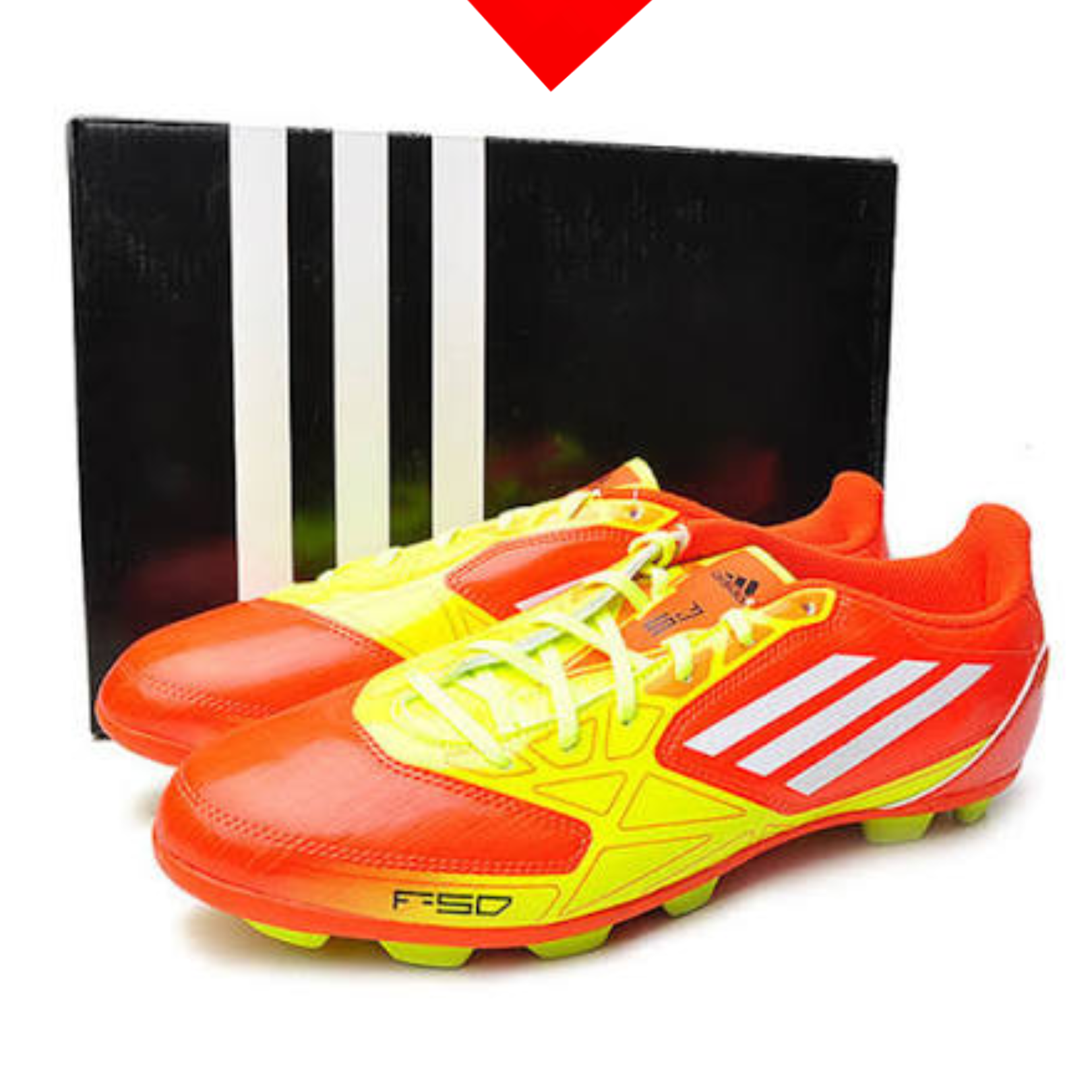 shoe