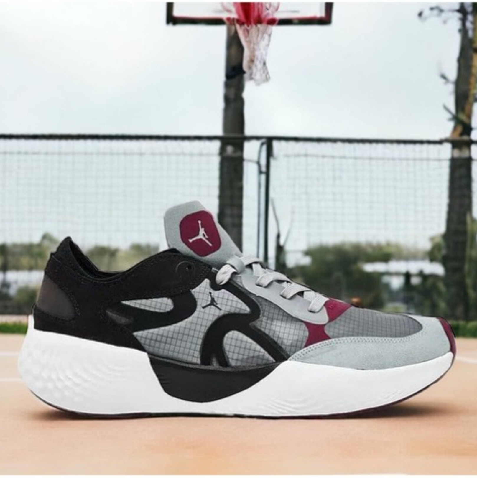 shoe