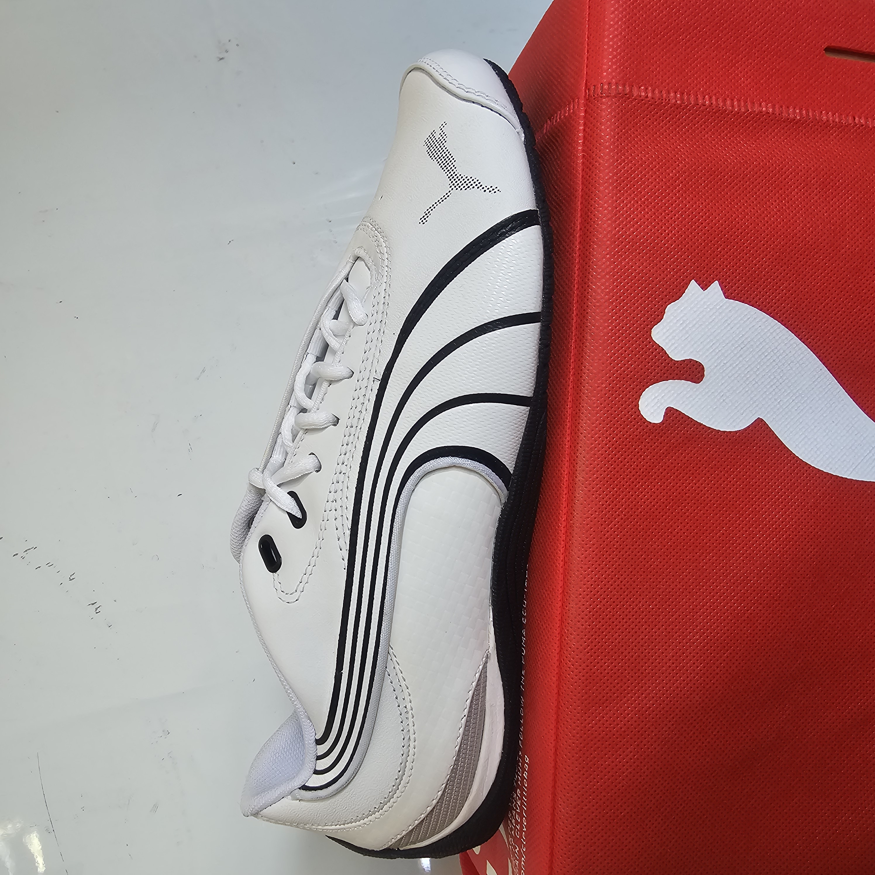 shoe