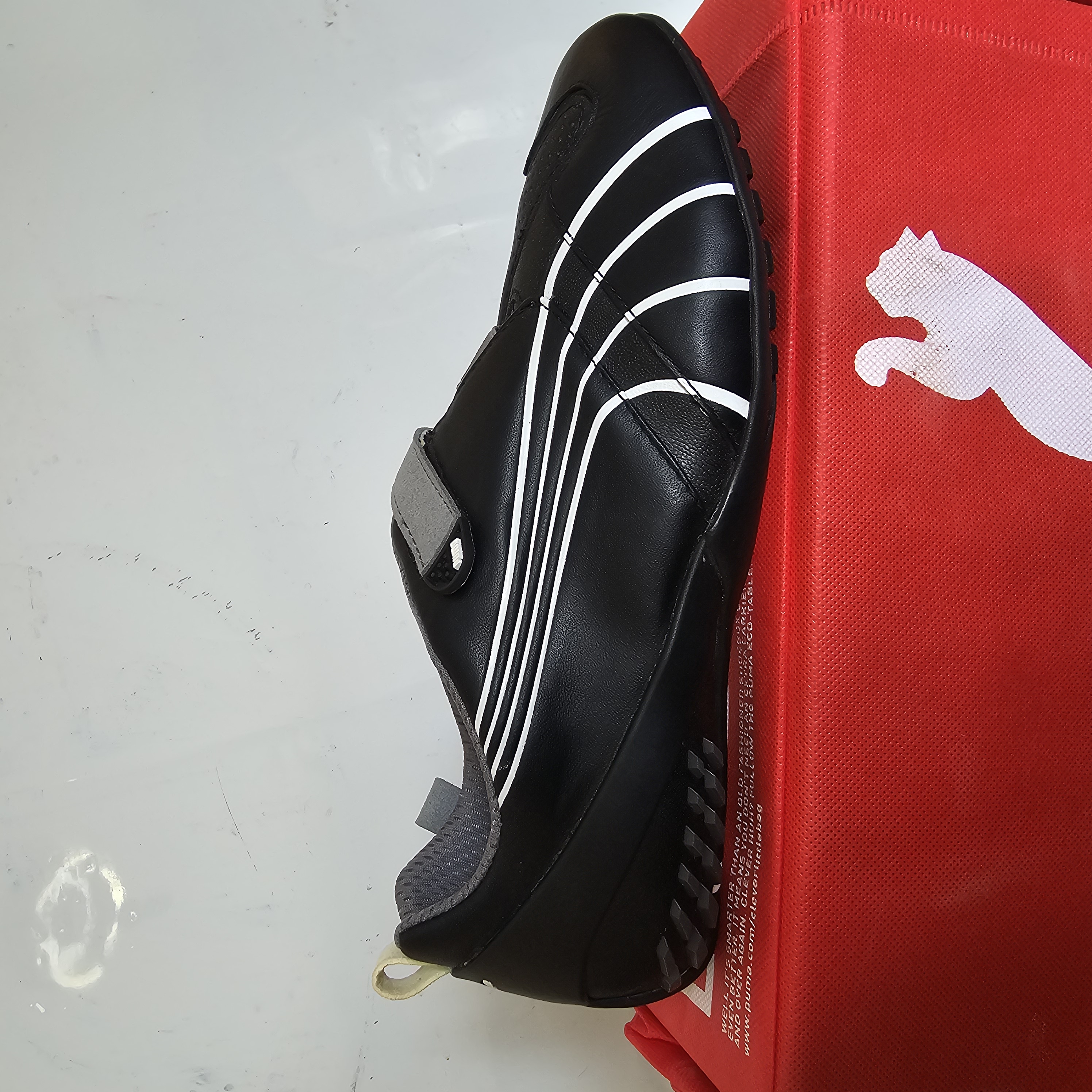 shoe