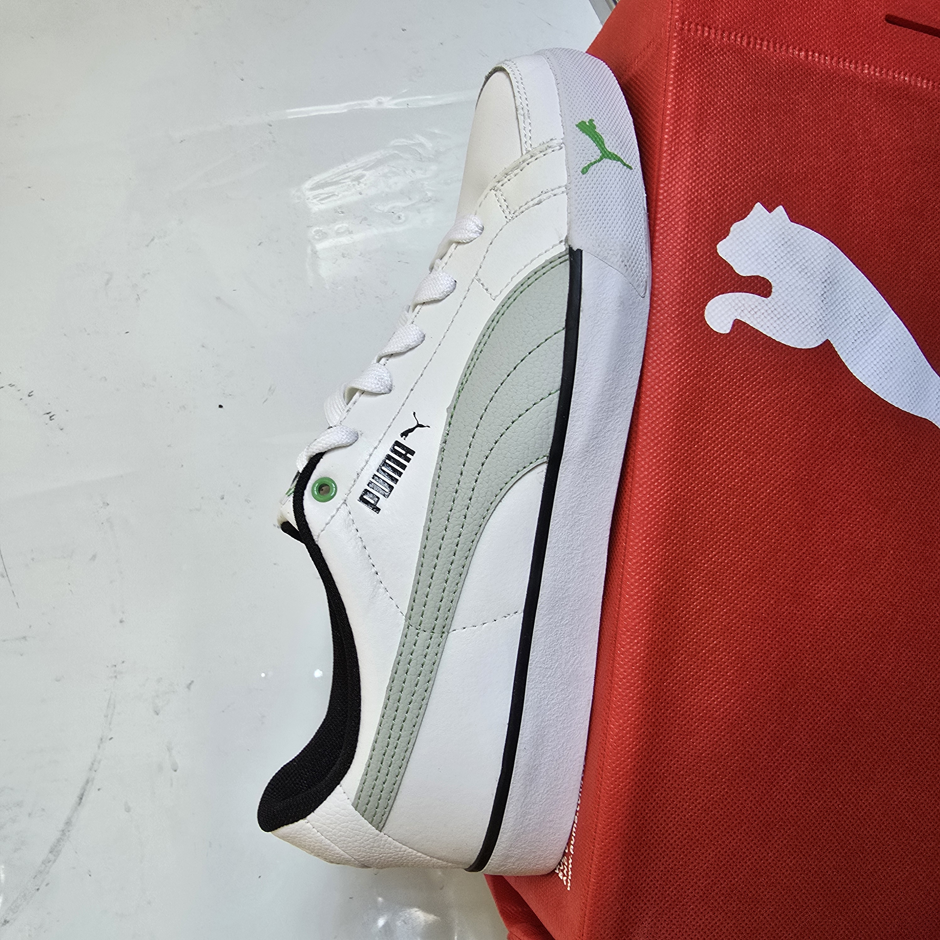 shoe