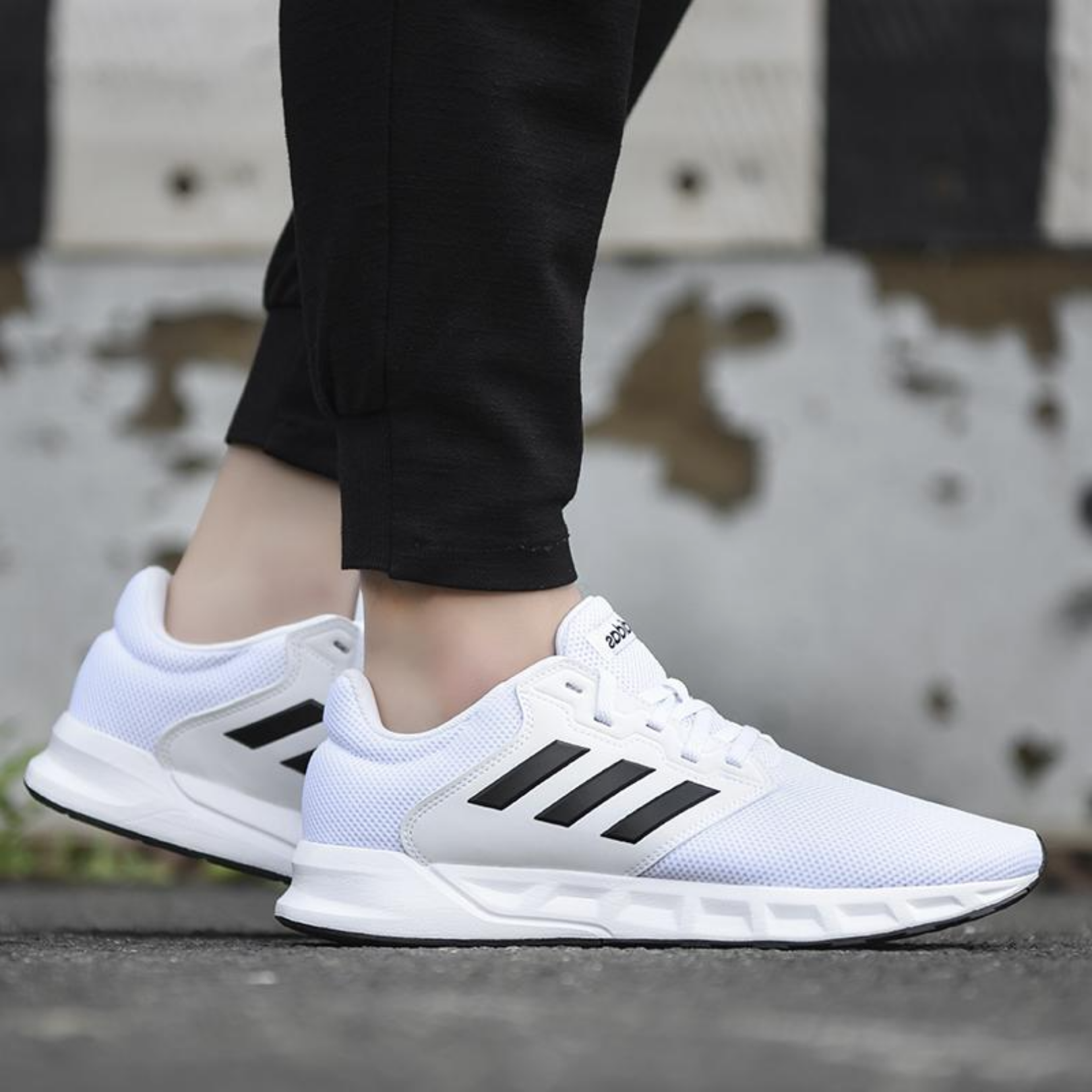 shoe