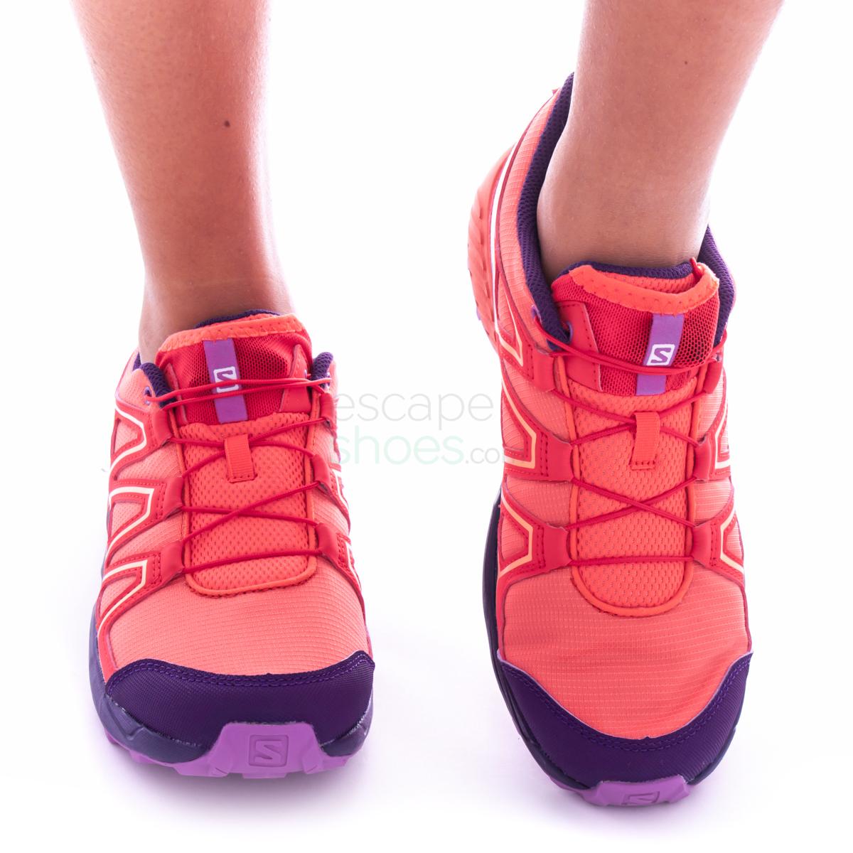 shoe